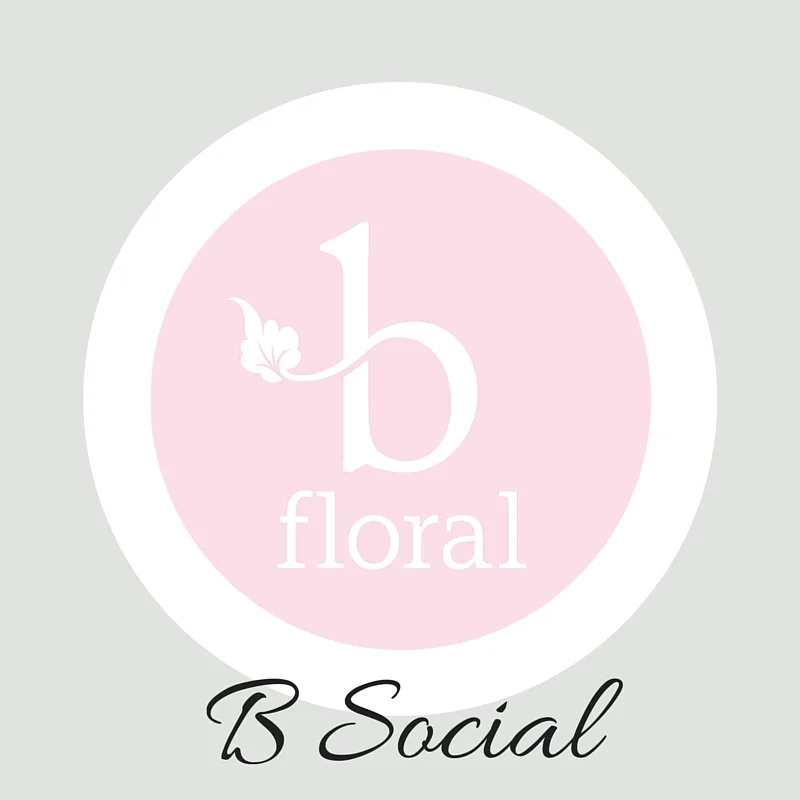 8bd47-bsocial.jpg