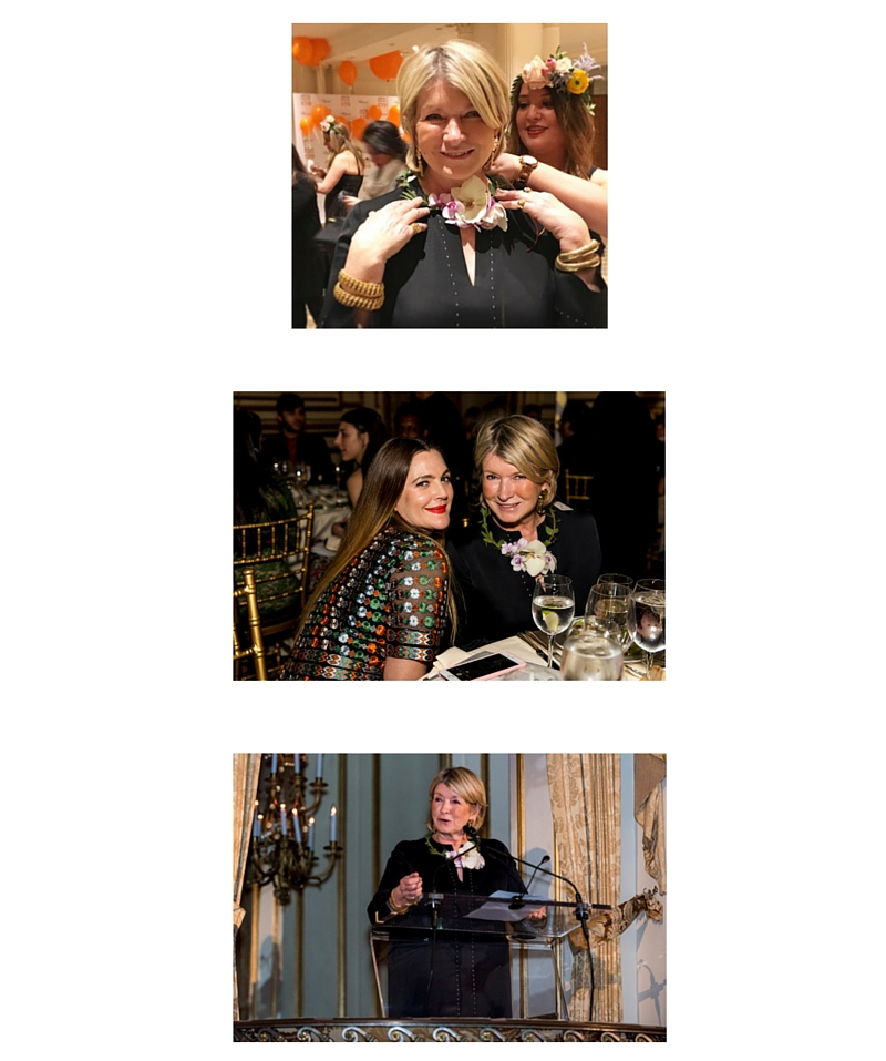 B Charitable: 2016 ASPCA Bergh Ball
