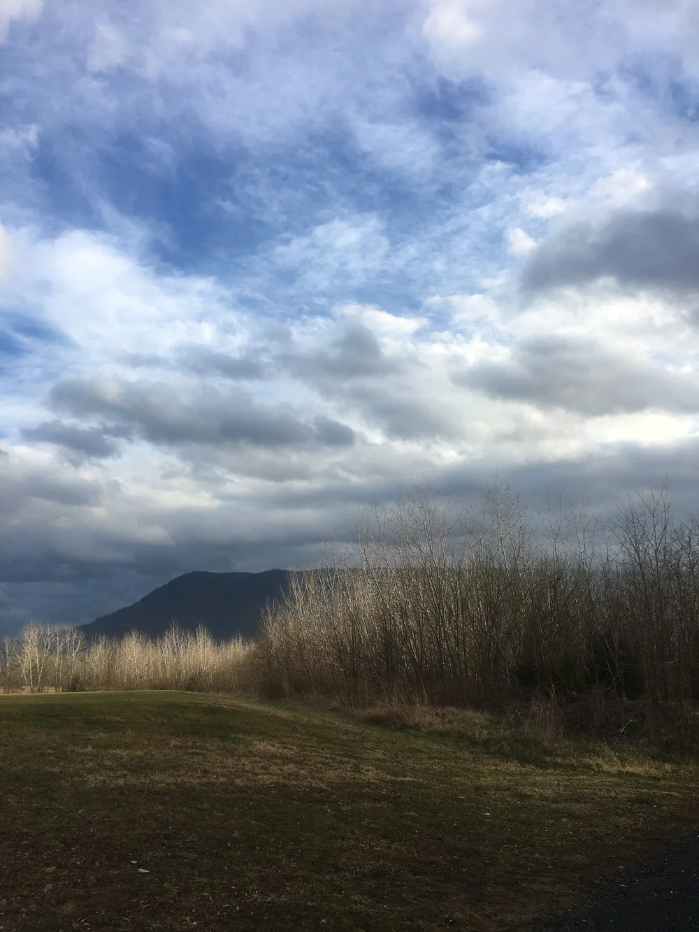 bc6df-img_1679.jpg