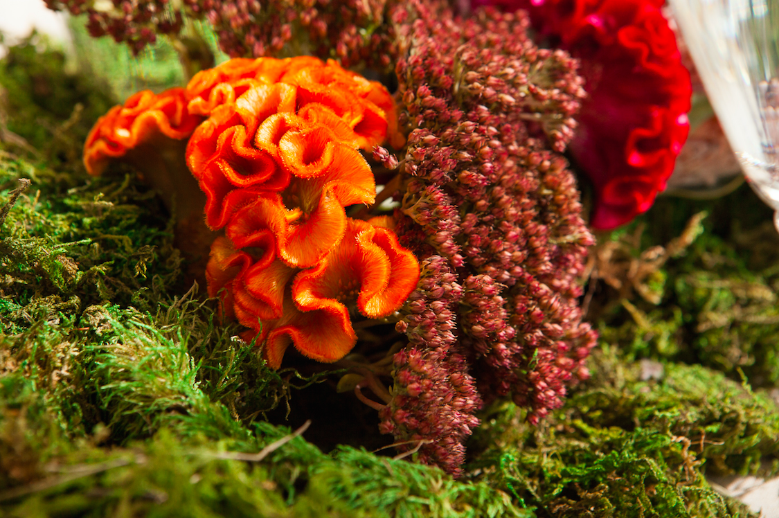 caddc-brightcolorfloralarrangement-bfloralbrightcolorfloralarrangement-bfloral.png