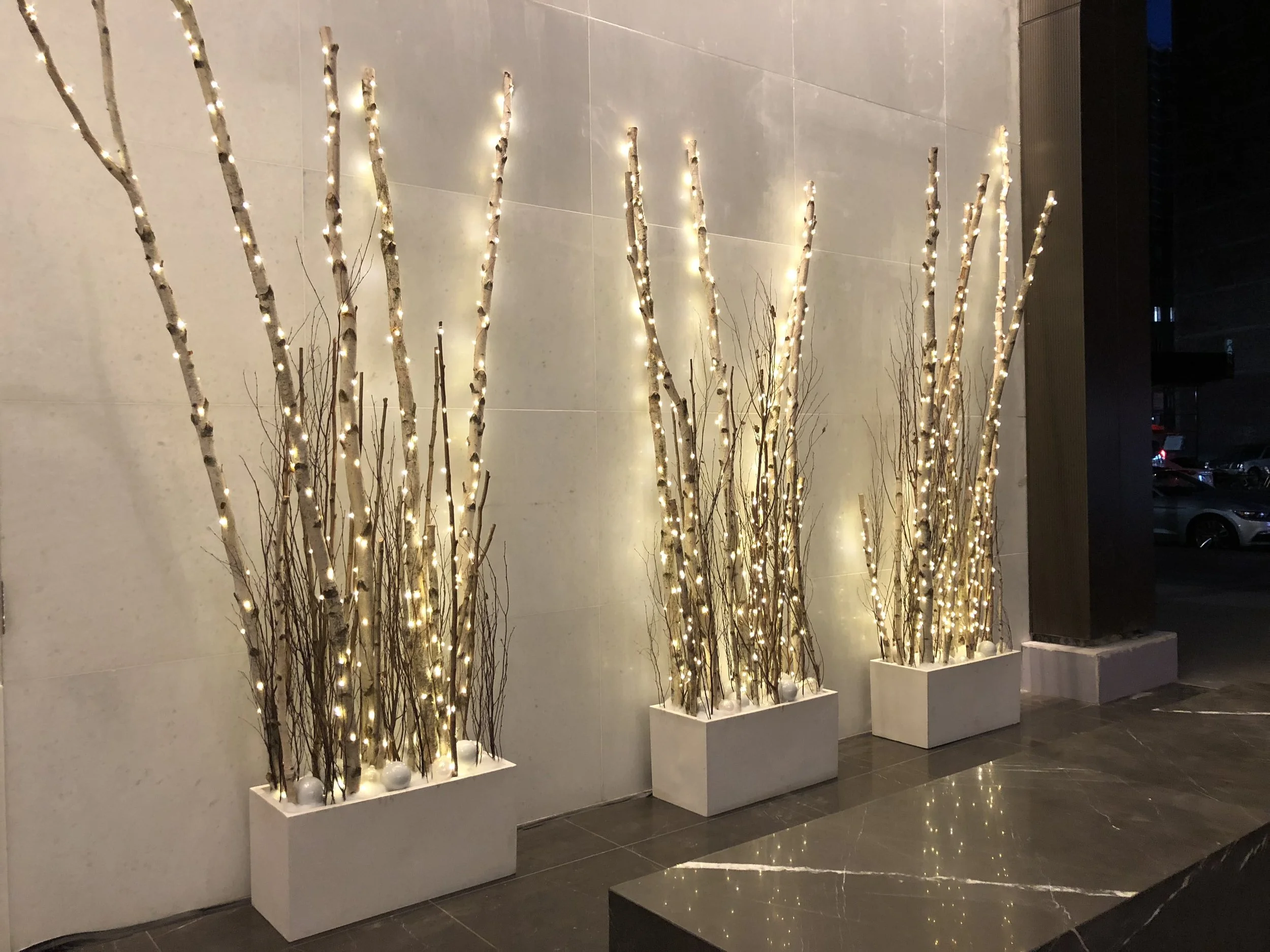 49271-holidaybirchinstallation-bfloralholidaybirchinstallation-bfloral.jpg