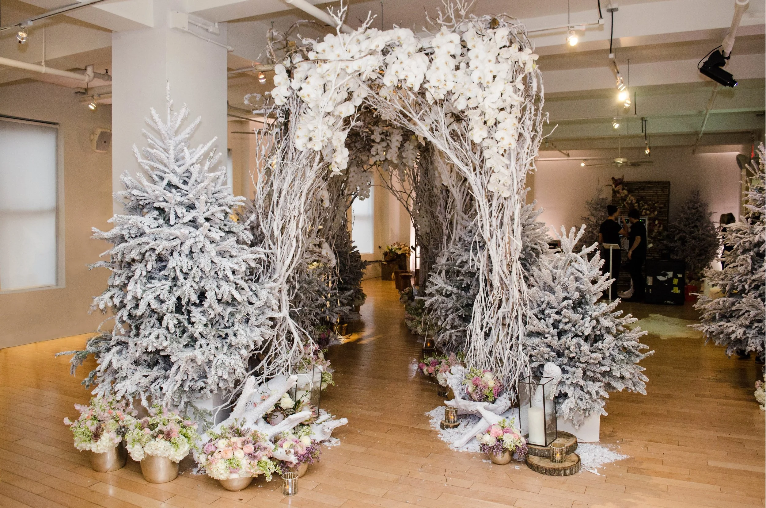 ef4e8-winterarchway-bfloralwinterarchway-bfloral.jpg