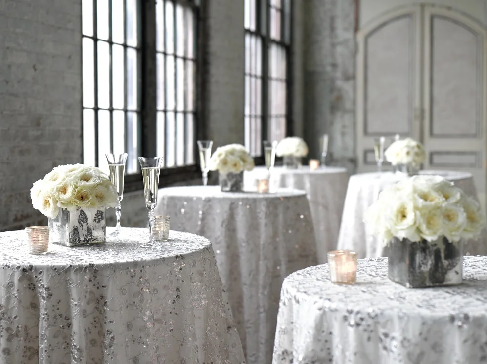 6e9c4-silvercocktailparty-bfloralsilvercocktailparty-bfloral.jpg