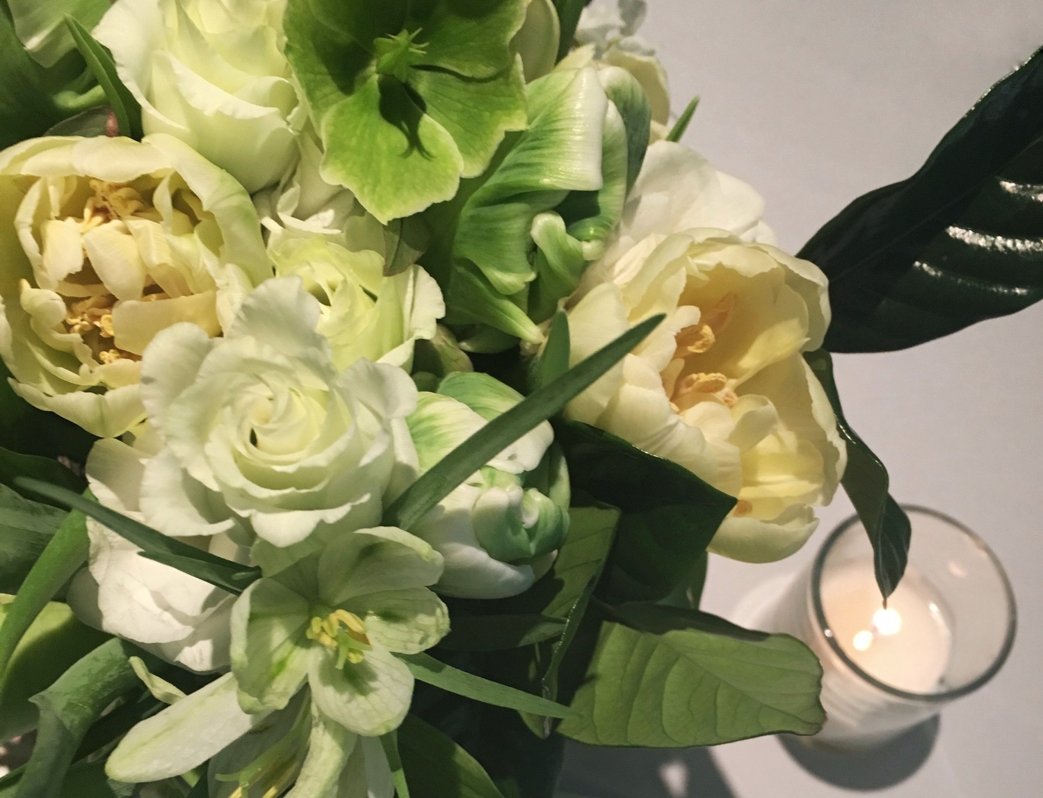 B Floral for American Ireland Fund
