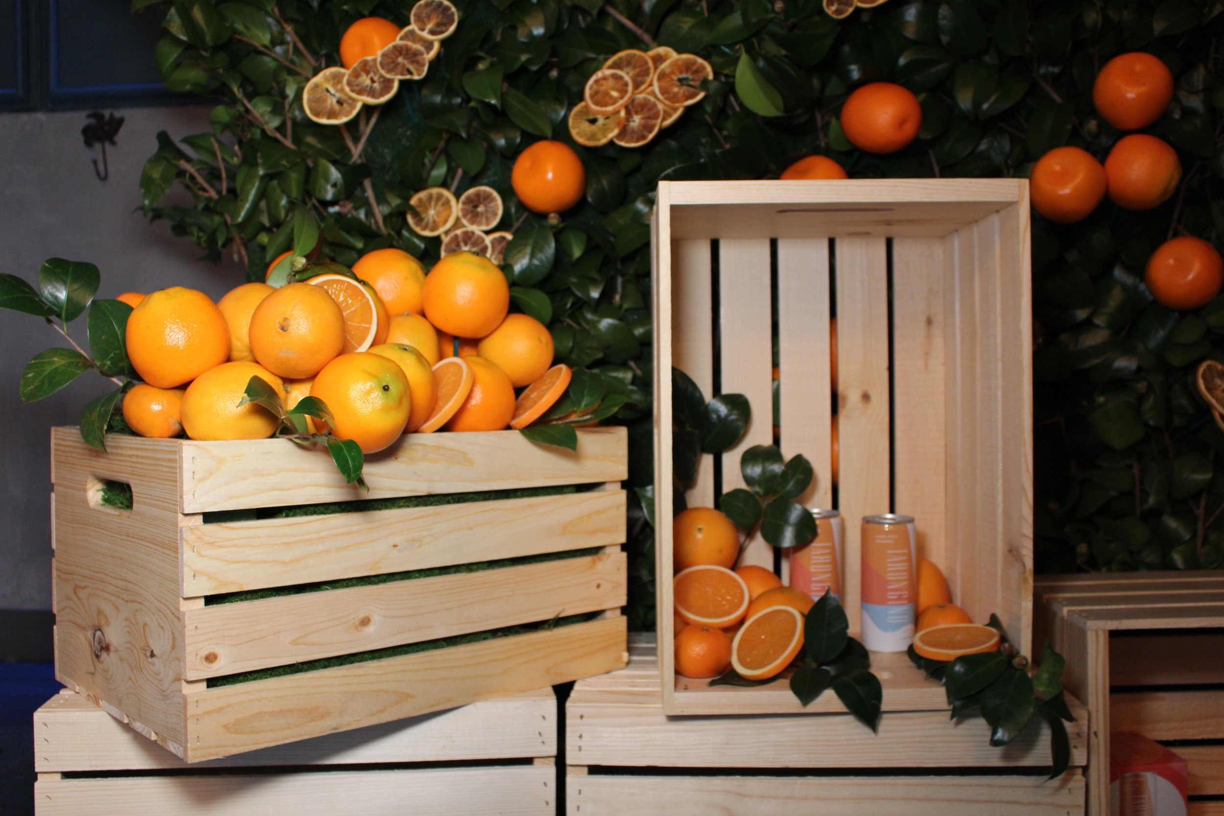 TARONGINO USA - ORANGE TREE LAUNCH EVENT - B FLORAL