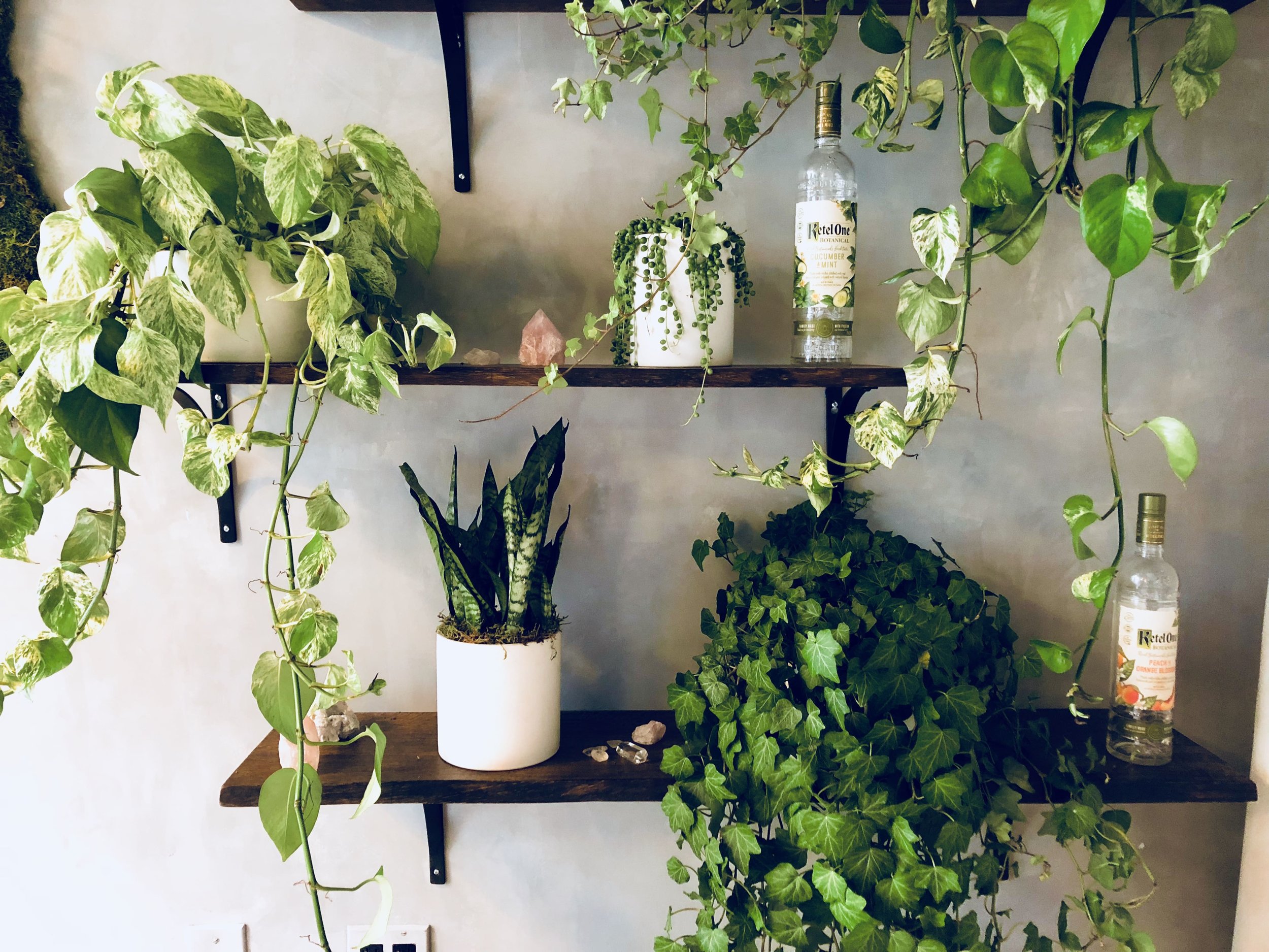 MKTG - KETEL ONE - WEWORK - B FLORAL