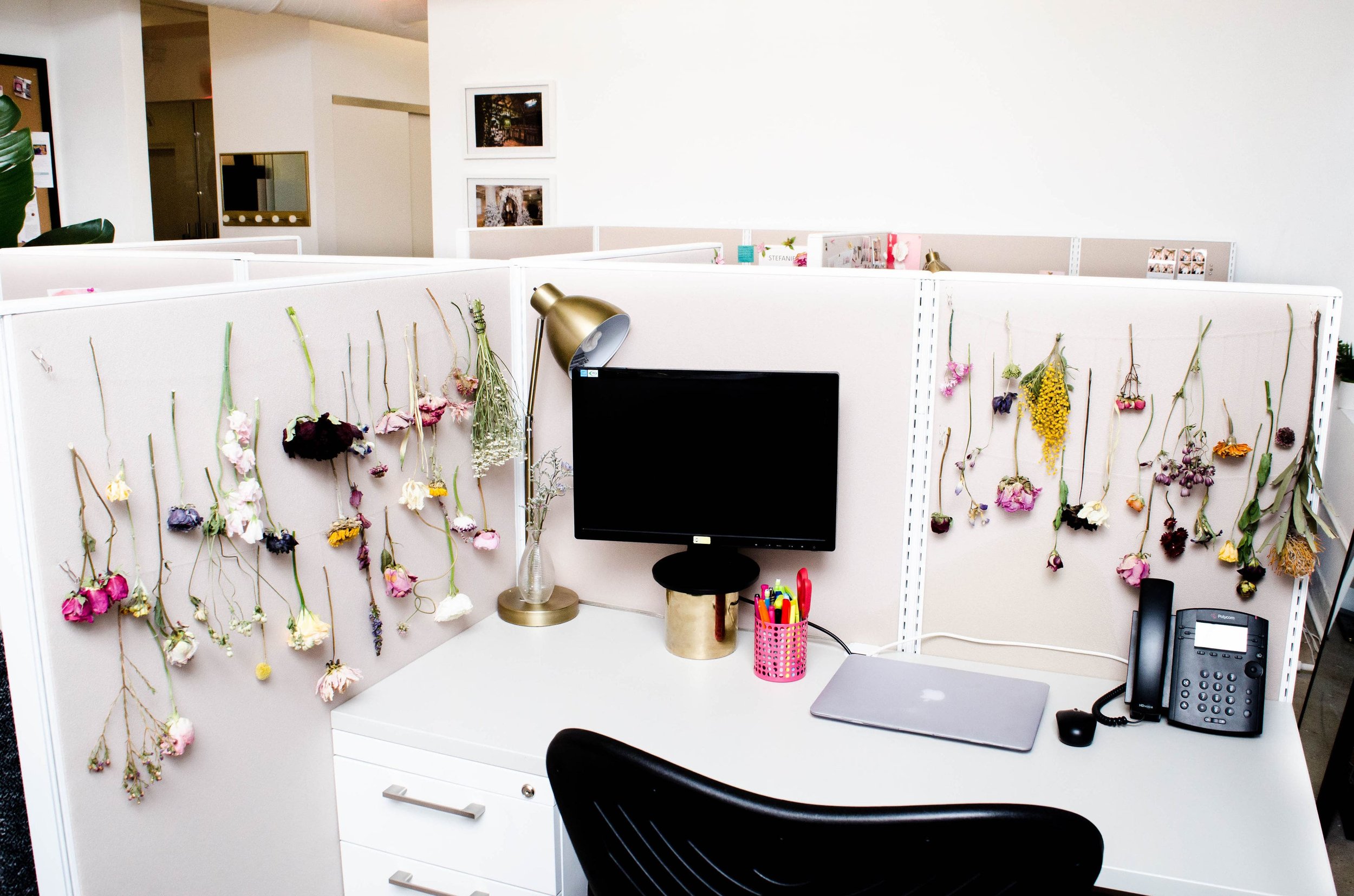 NEW - OFFICE - SPACE - MANHATTAN - COOL - OPEN - DESK - CUBICLE - B FLORAL