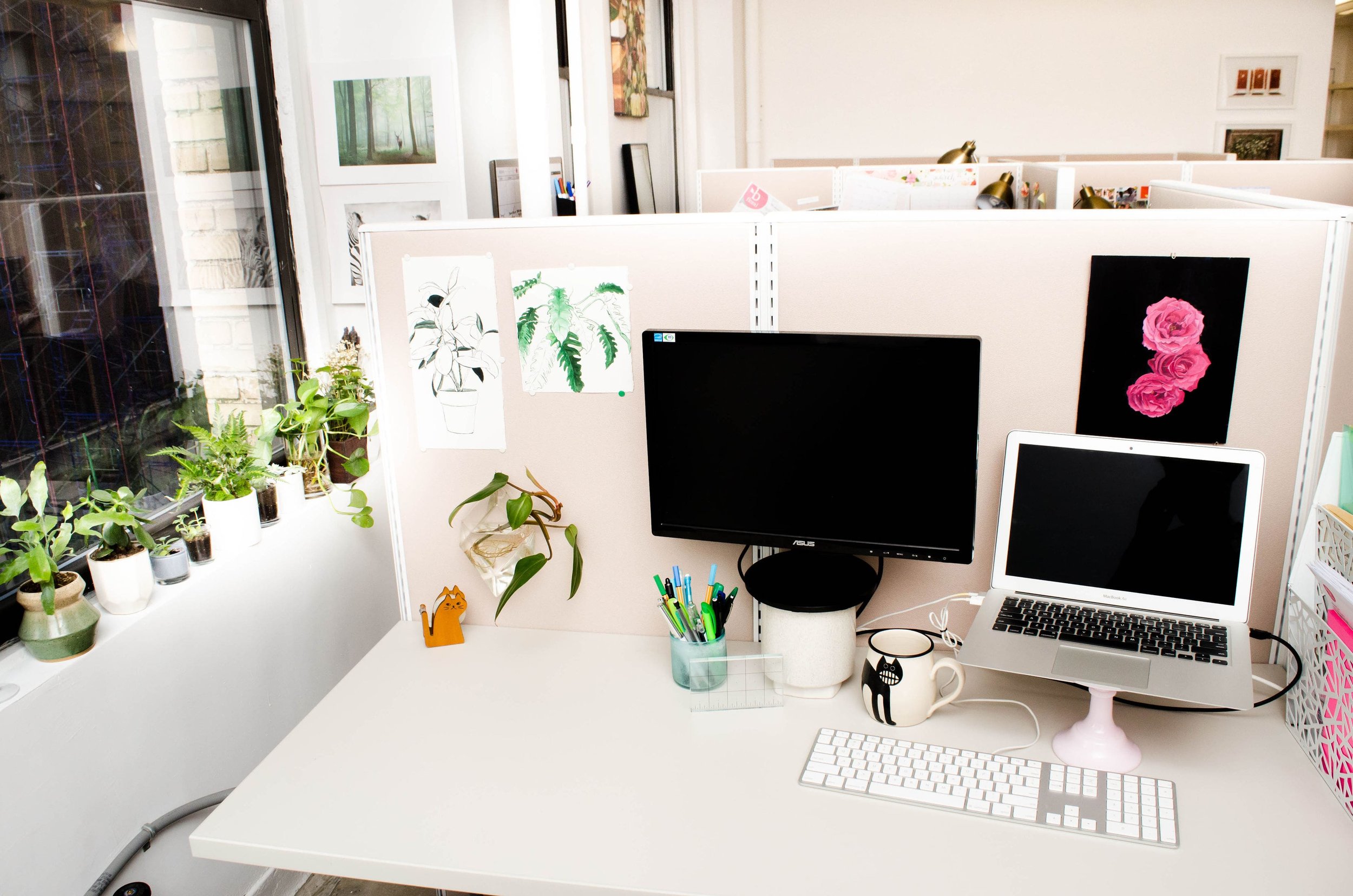 NEW - OFFICE - SPACE - MANHATTAN - COOL - OPEN - DESK - CUBICLE - B FLORAL