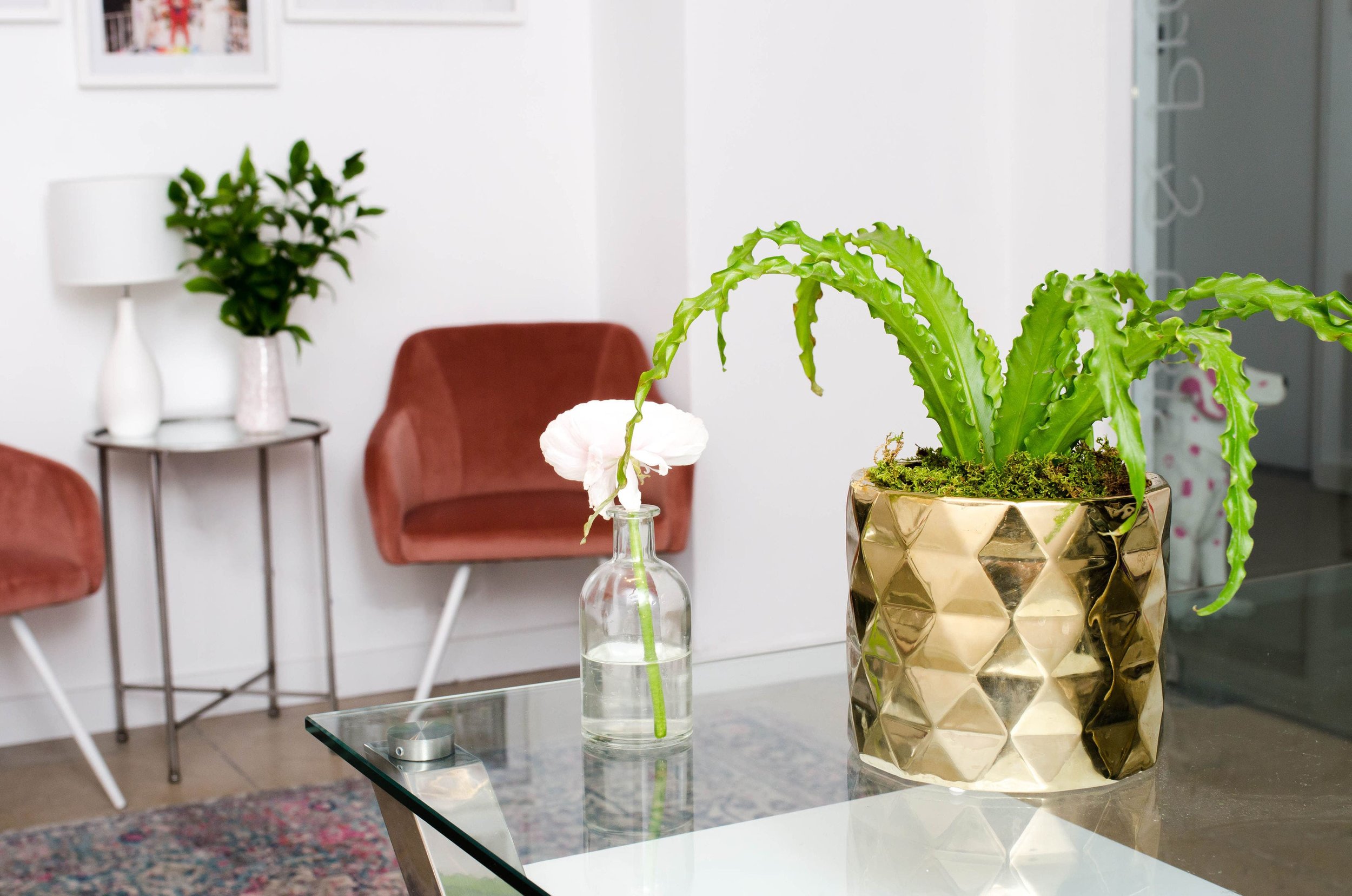 NEW - OFFICE - SPACE - MANHATTAN - COOL - OPEN - RECEPTION - PLANTS - B FLORAL