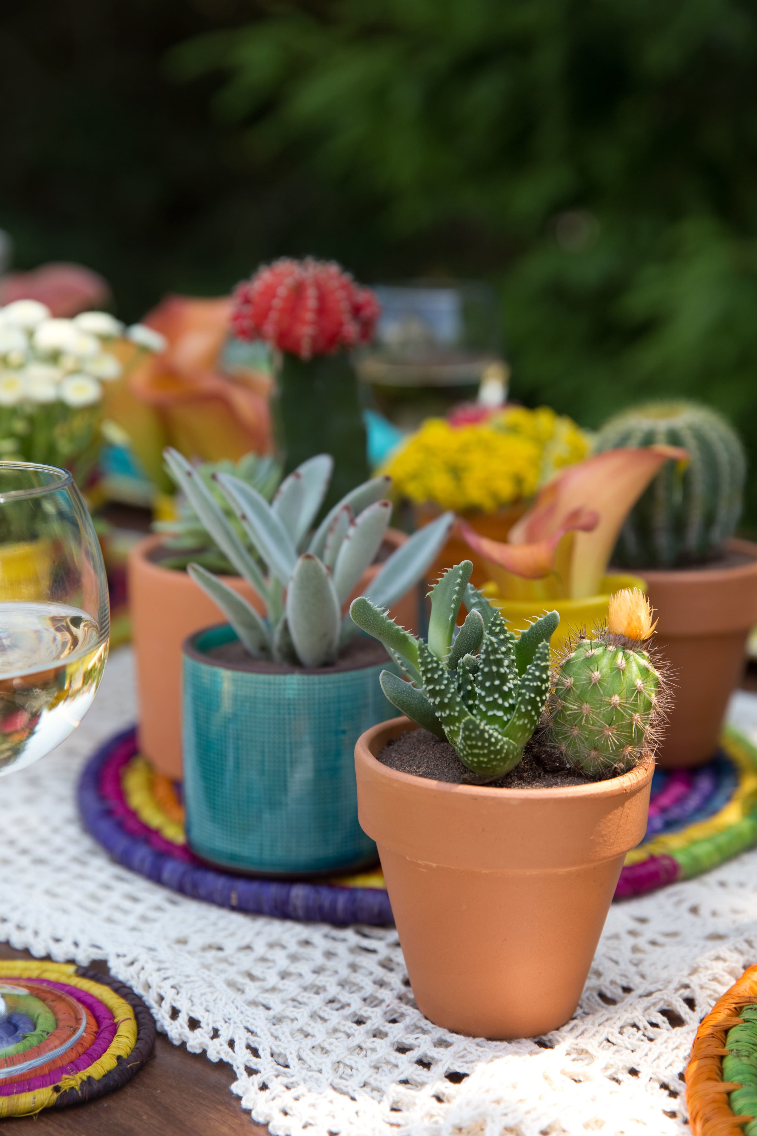 TABLESCAPE - CACTI - SUCCULENT - UNIQUE - NONFLORAL - TABLE SETTING