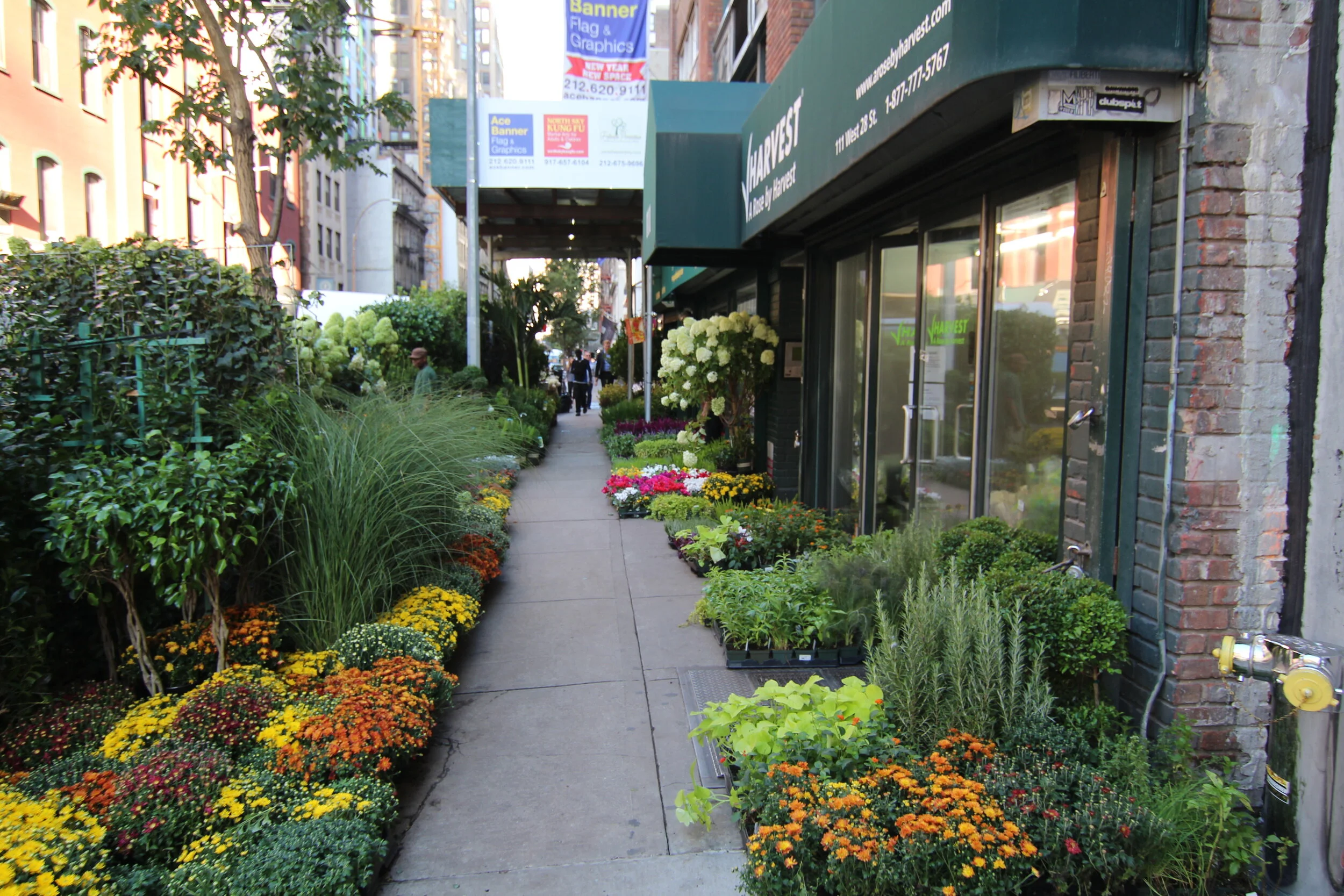 B Floral s Guide To The New York City Flower Market