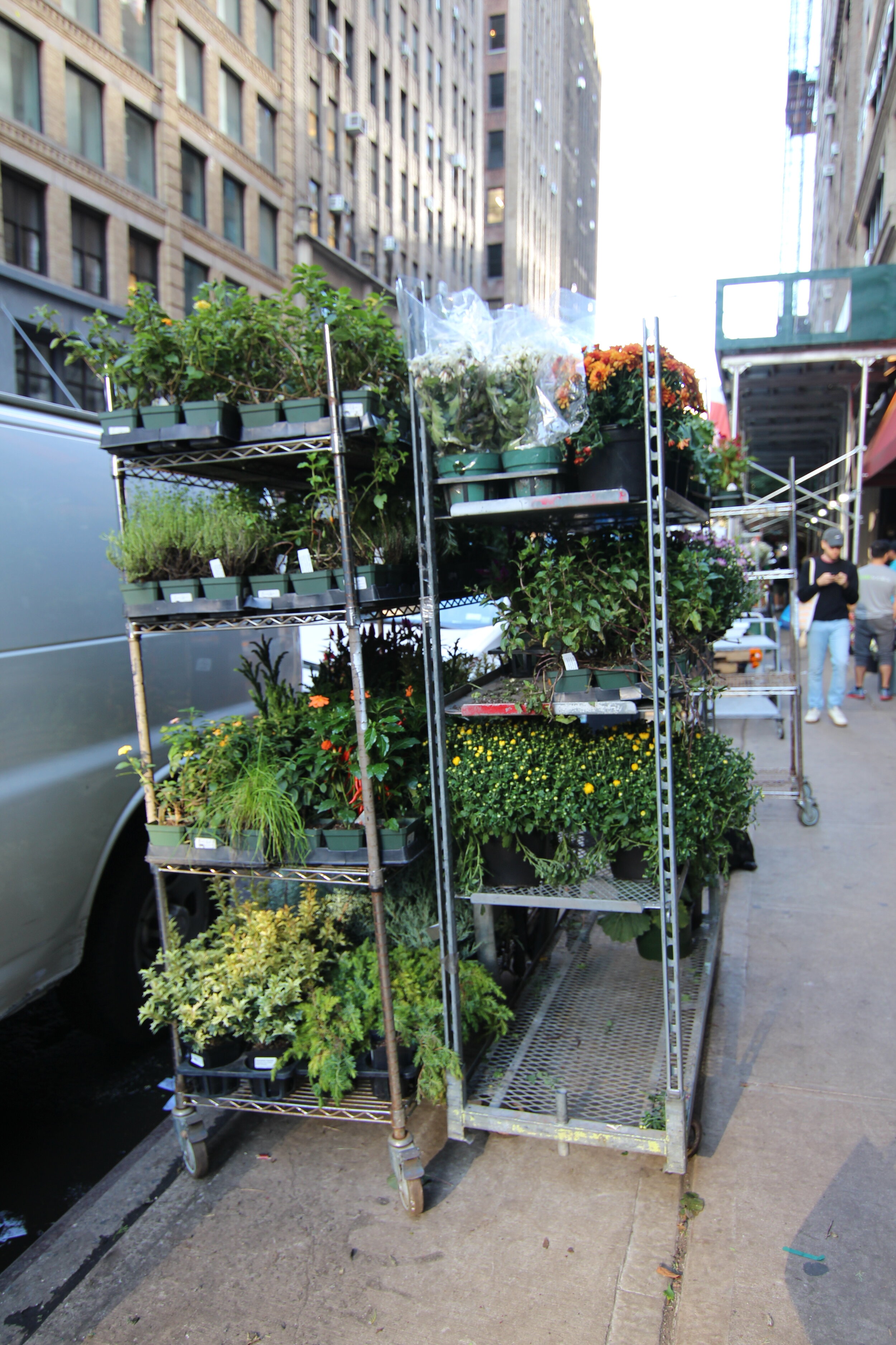 B Floral's Guide to the New York City Flower Market