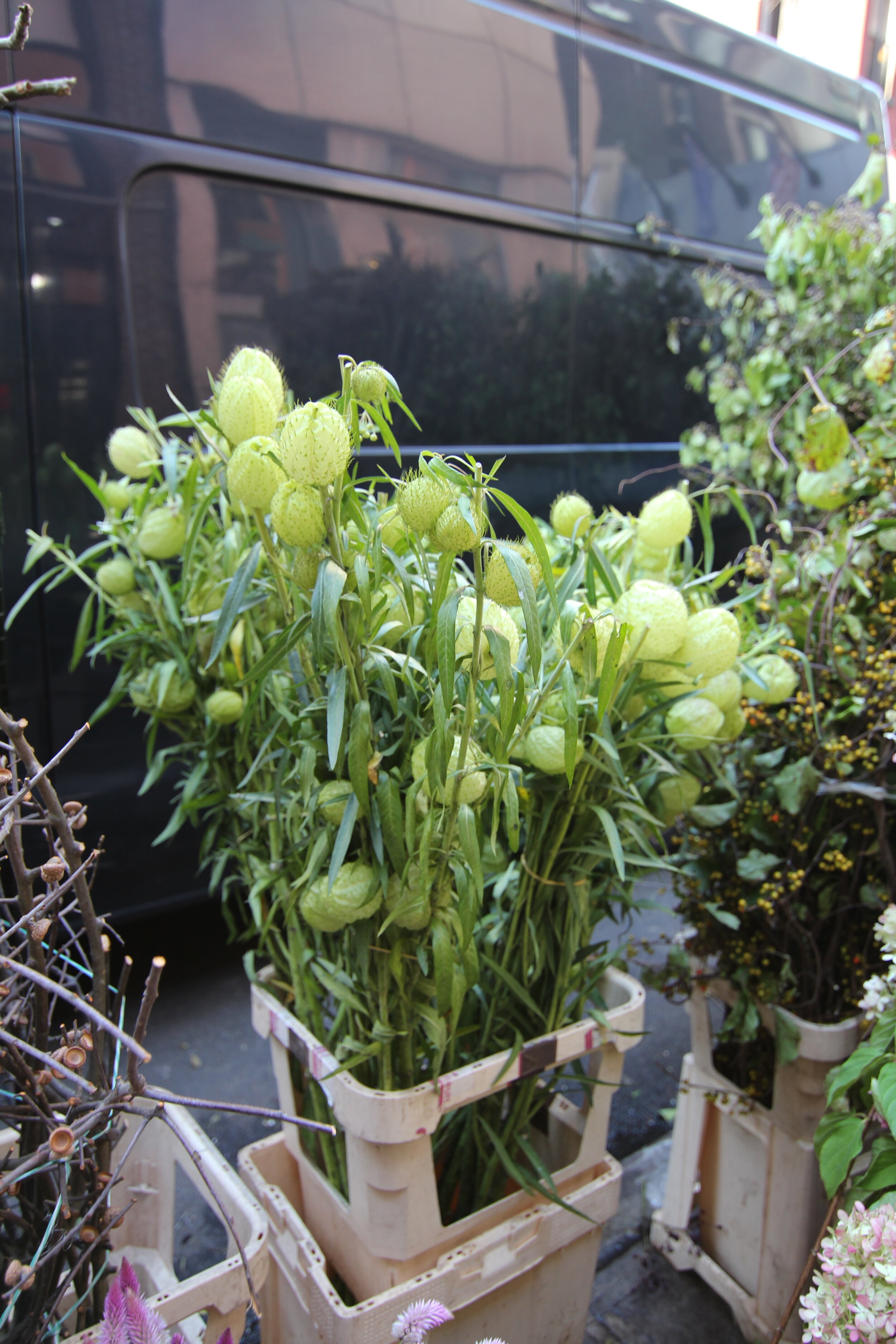 B Floral's Guide to the New York City Flower Market