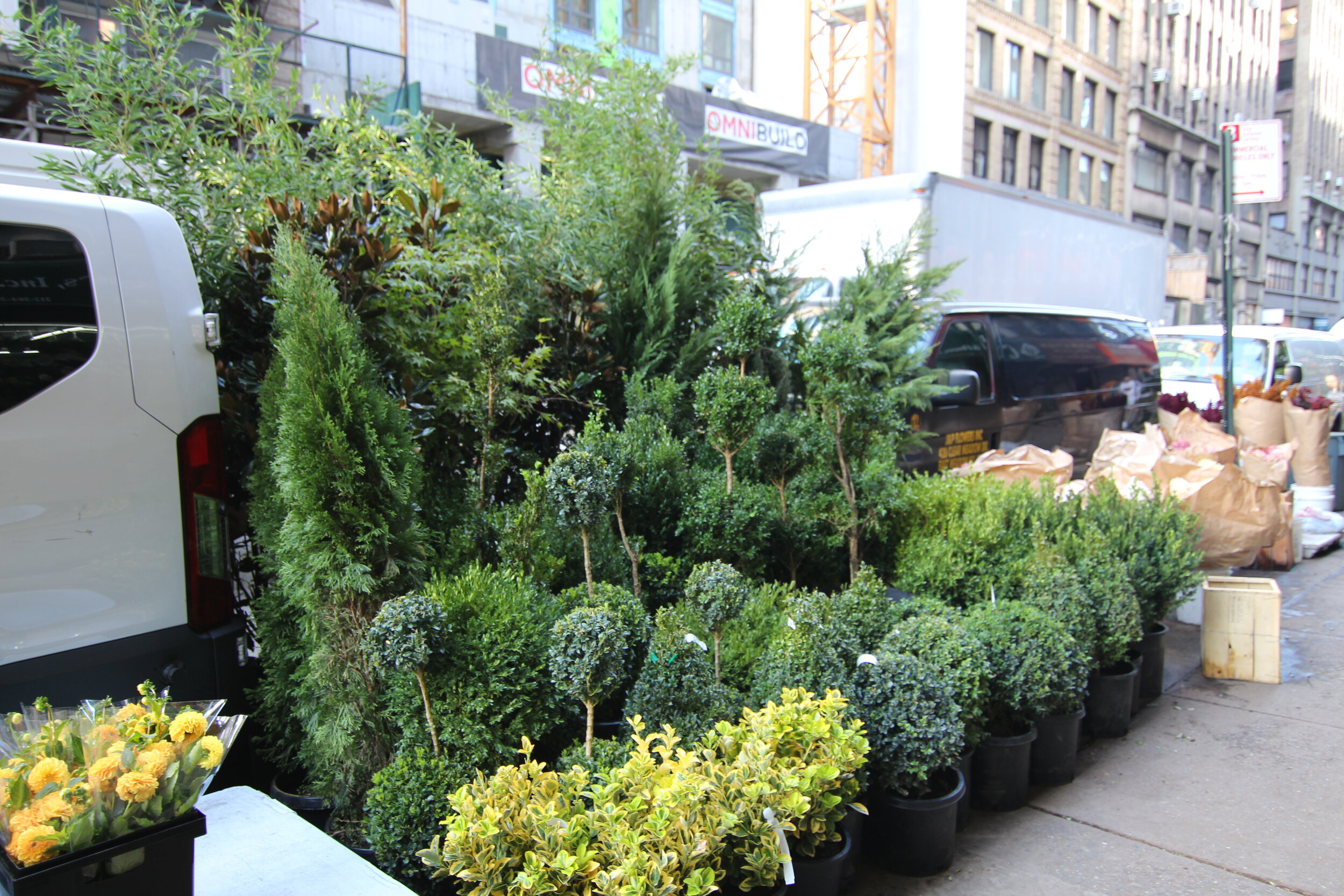B Floral's Guide to the New York City Flower Market
