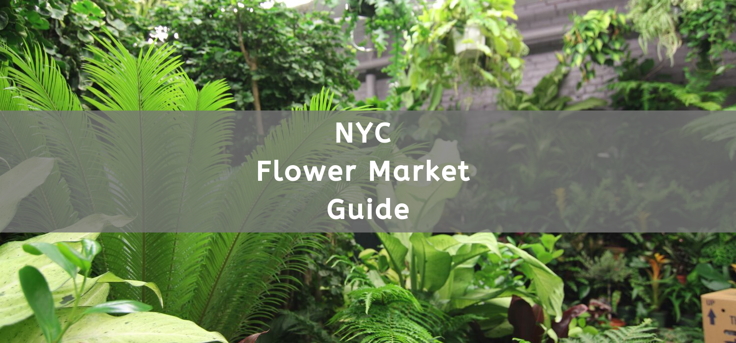 B Floral's Guide to the New York City Flower Market