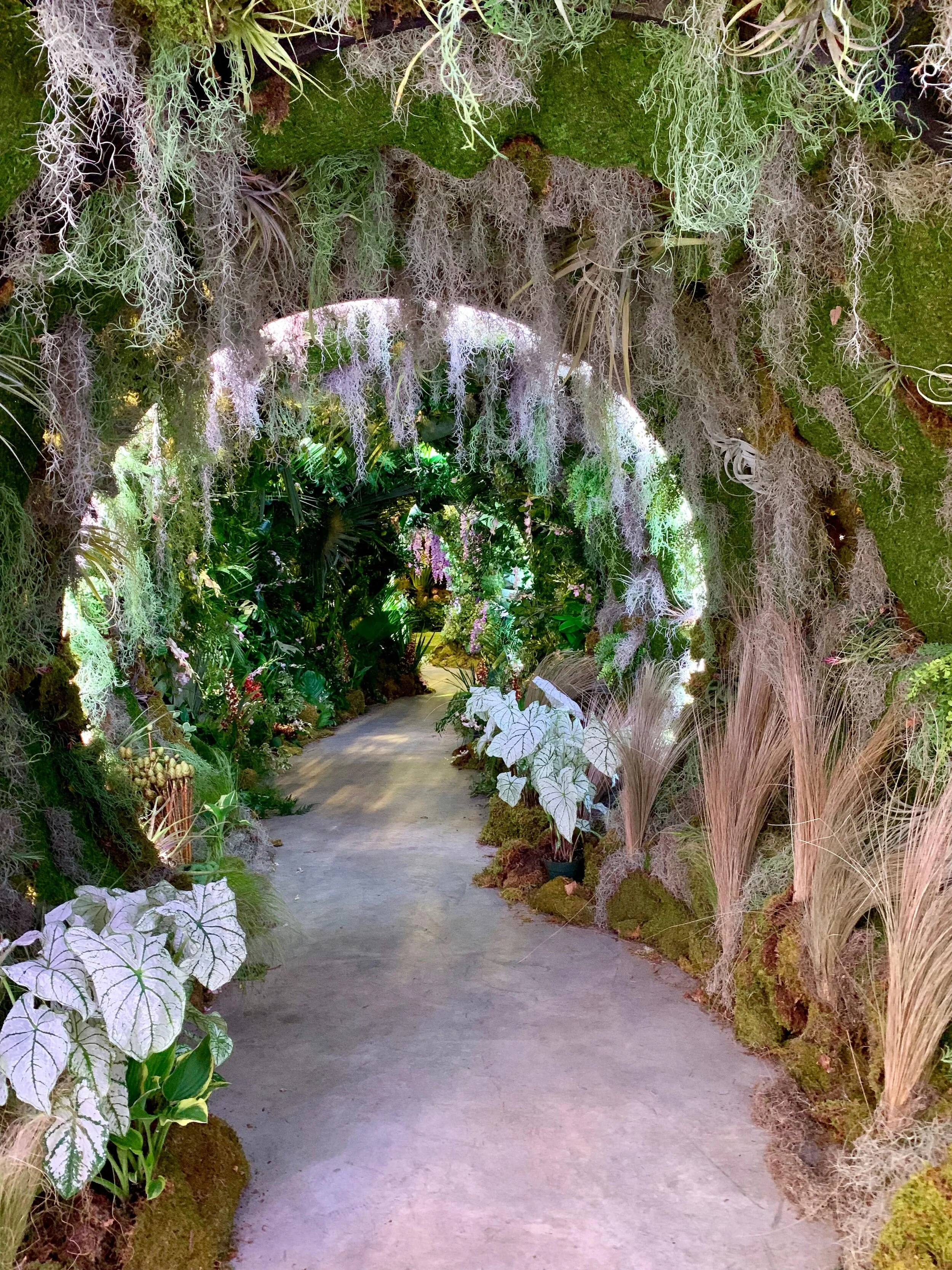 IMG_4388 copy-min.JPG