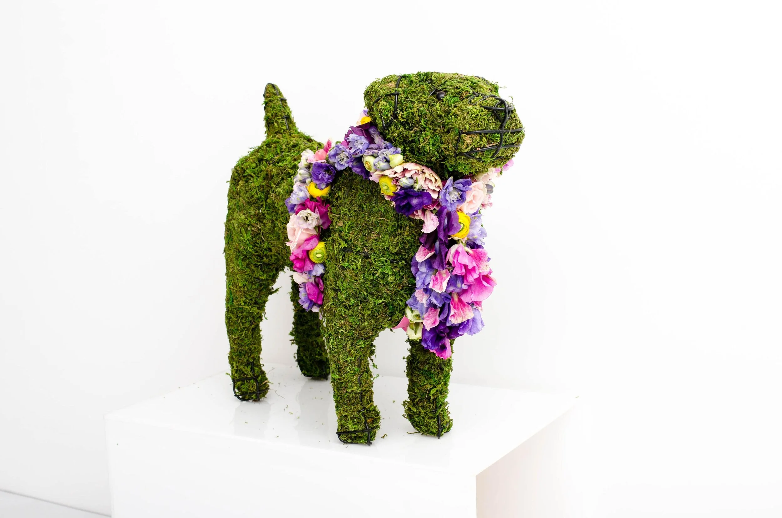 dog made with flowers.jpg