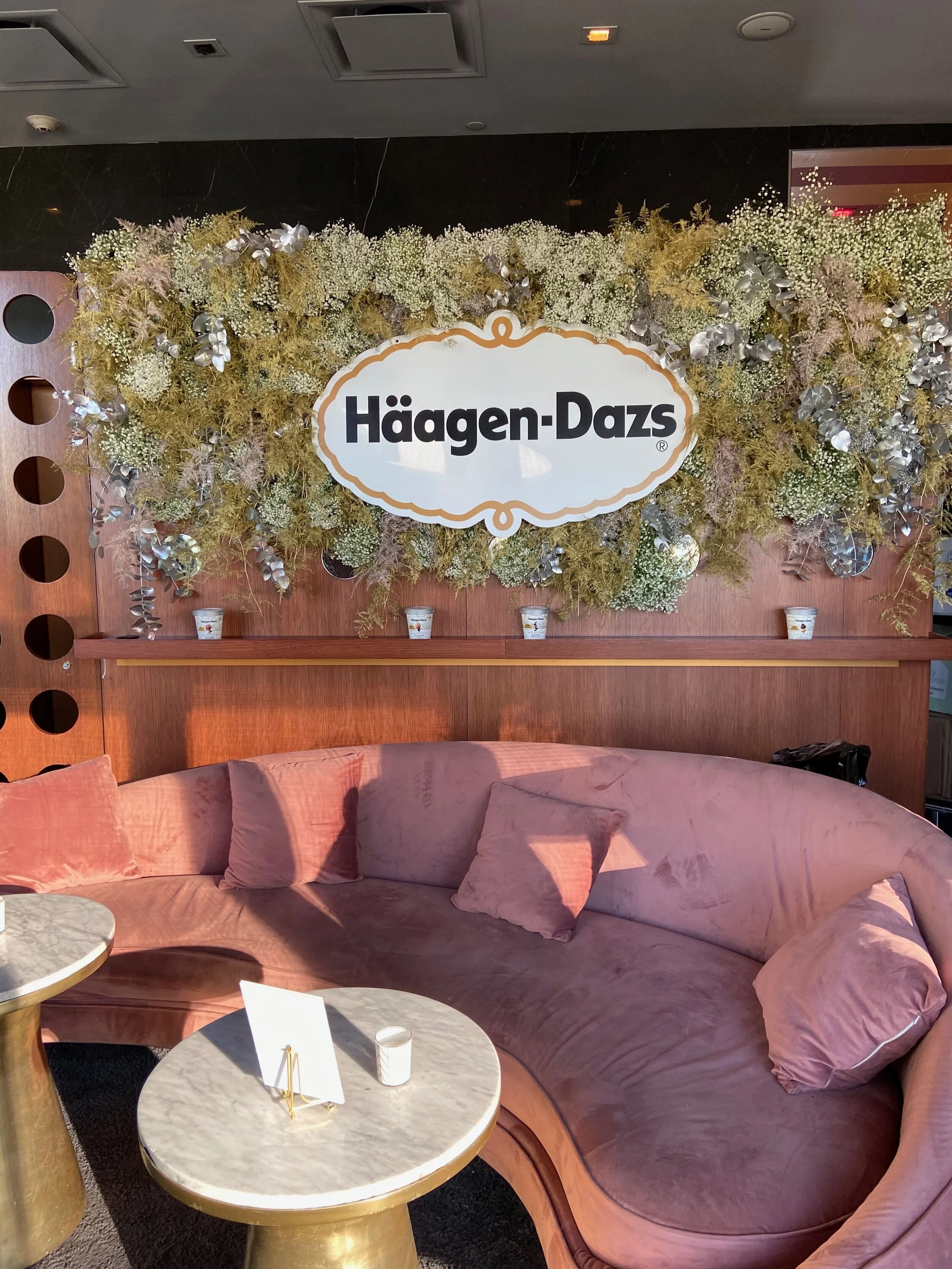 HaagenDazs5.jpg