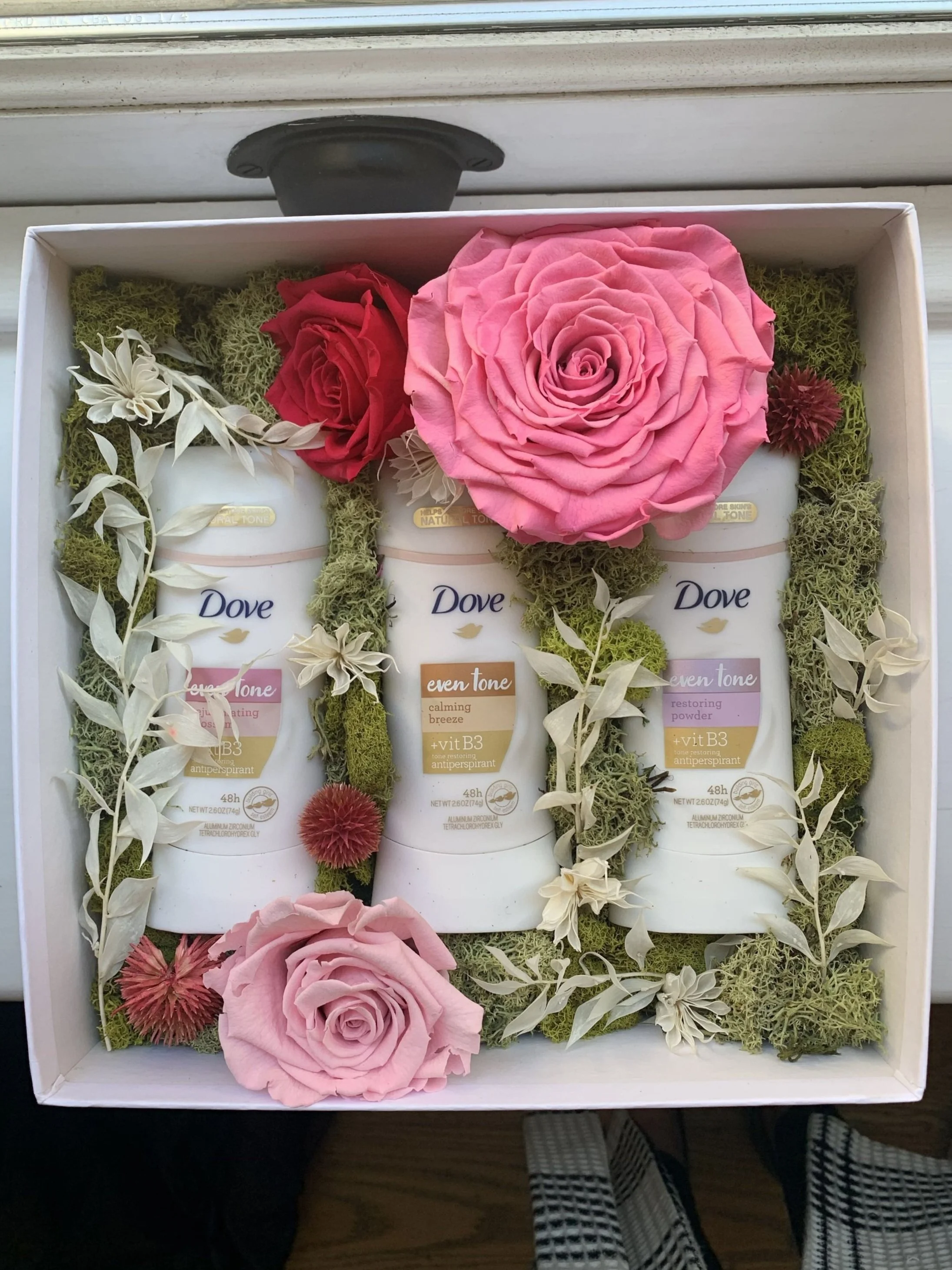 Dove1.jpg