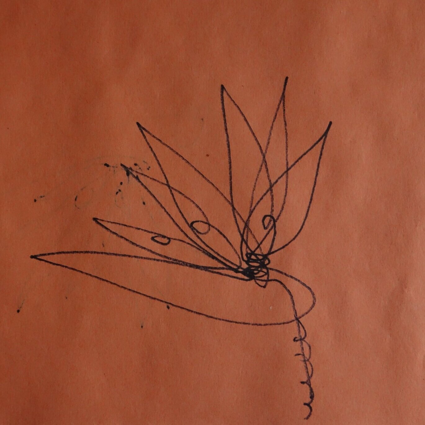 wire-flower-drawing.jpg