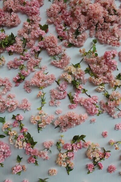 pink-flower-wall.jpg