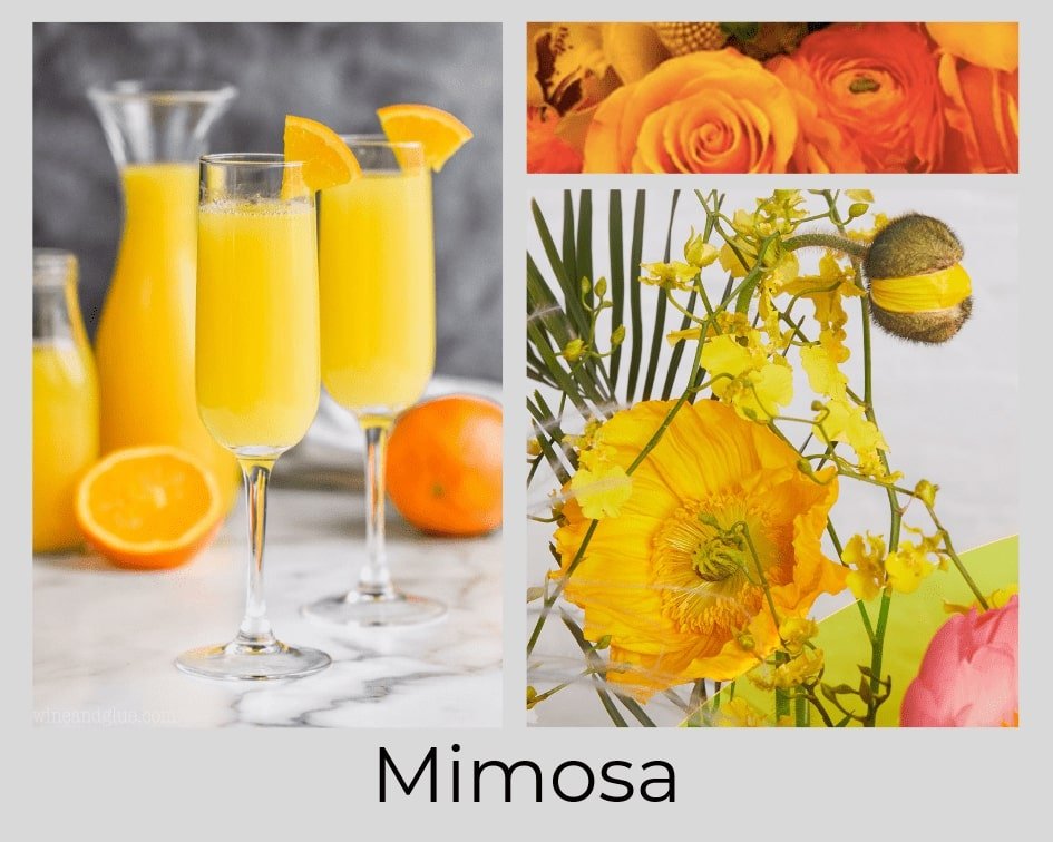 Mimosa-min+2.jpg