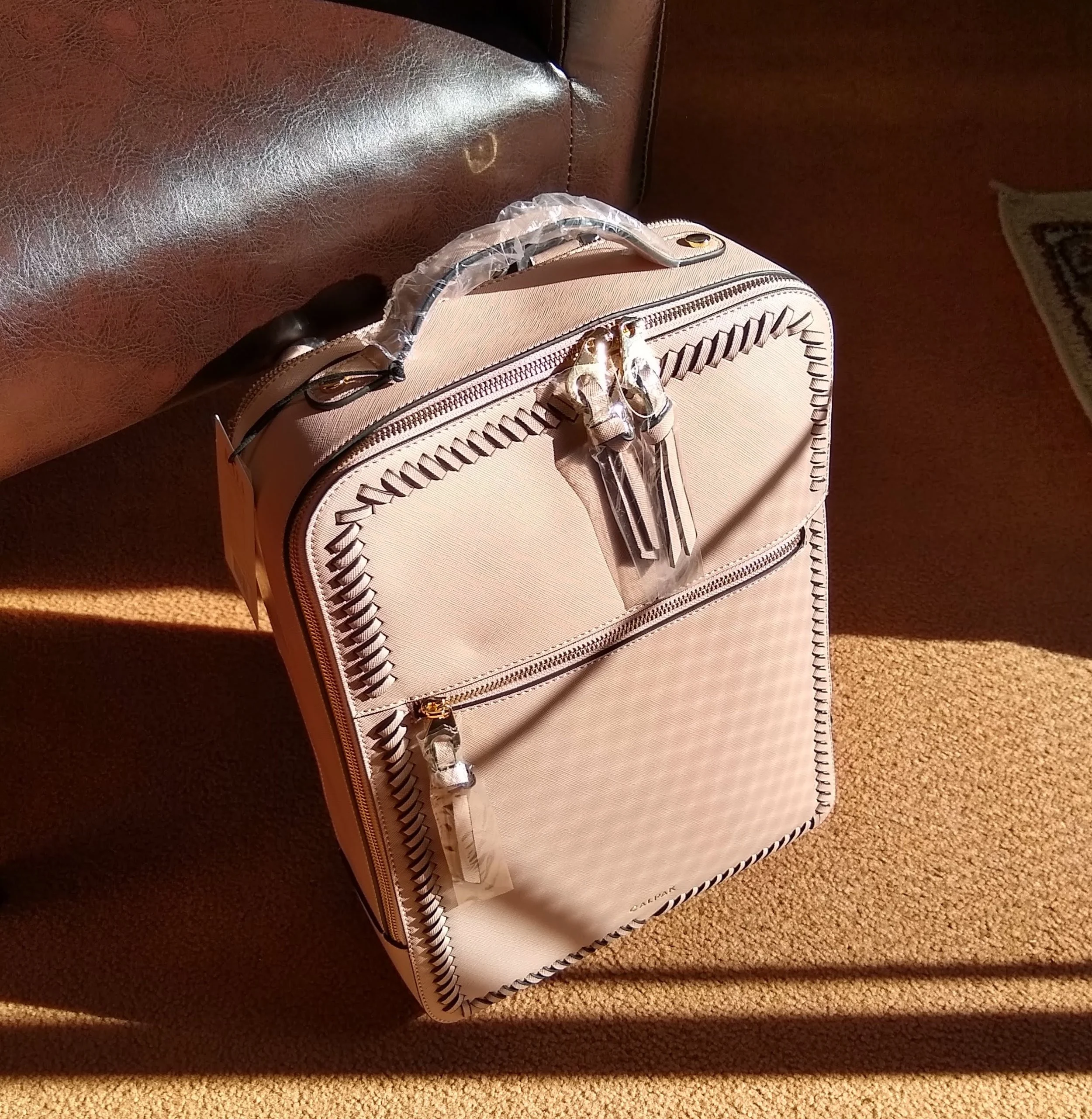 The Quest For the Perfect Travel Bag - Part 1