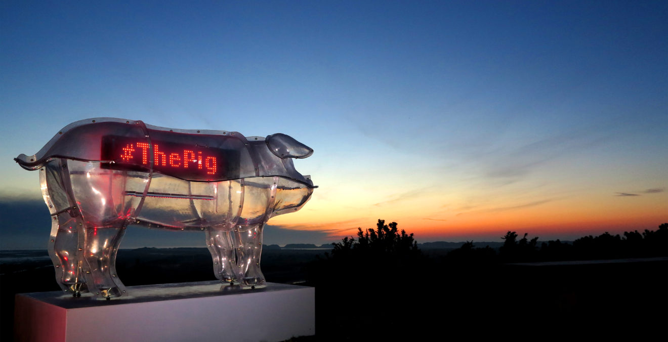 Kaleider_sunset_pig-1320x676.jpg