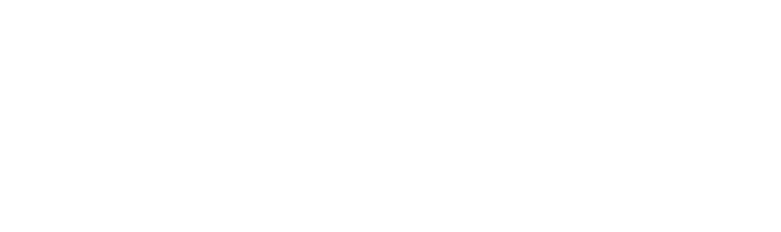 website home.png
