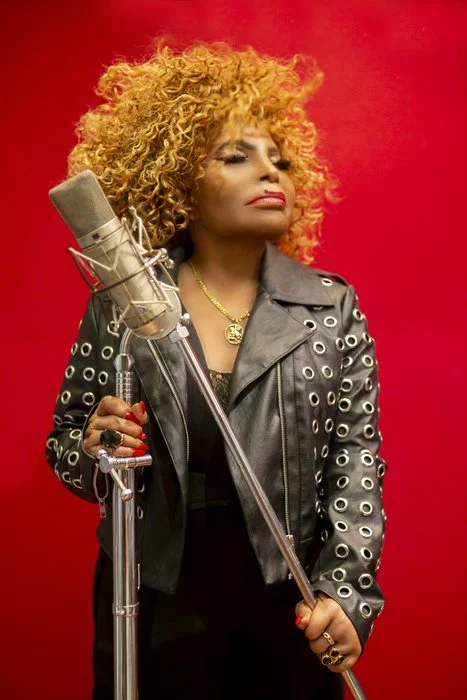 elza soares.jpg