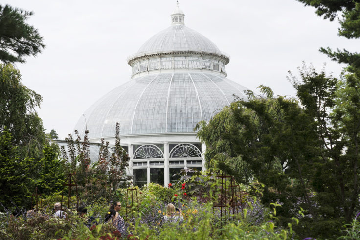 Happy Friday! 10/12/18