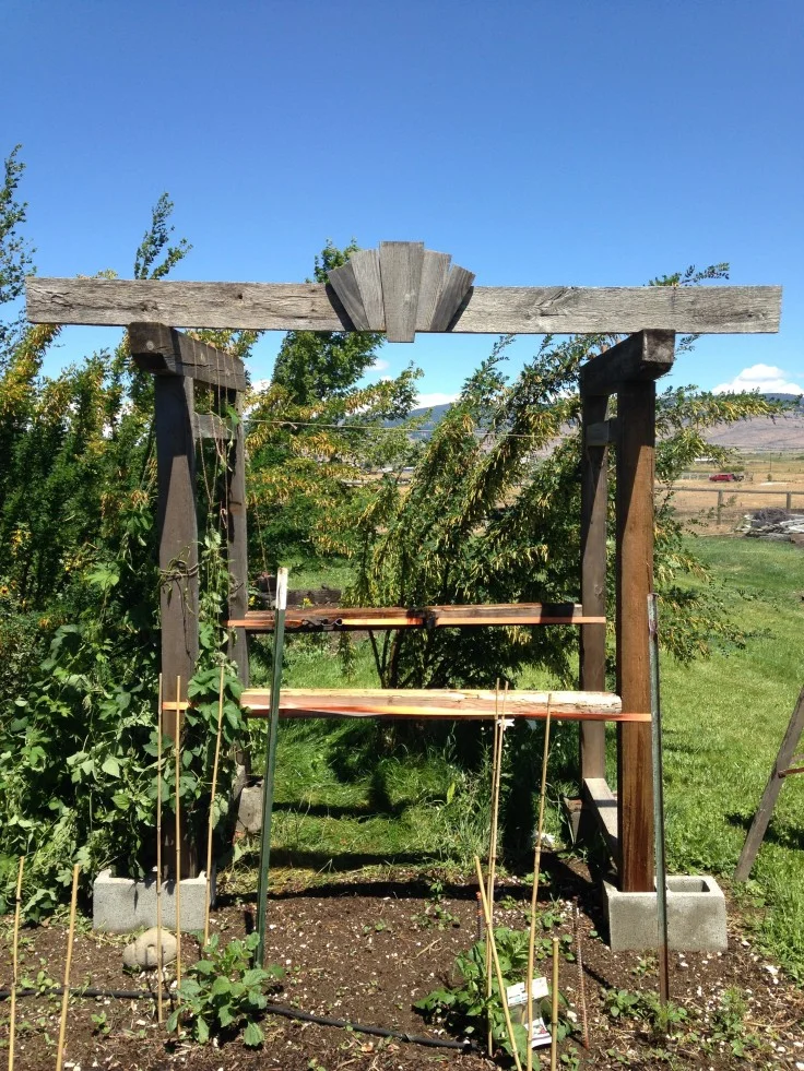 Building A Wedding Arbor