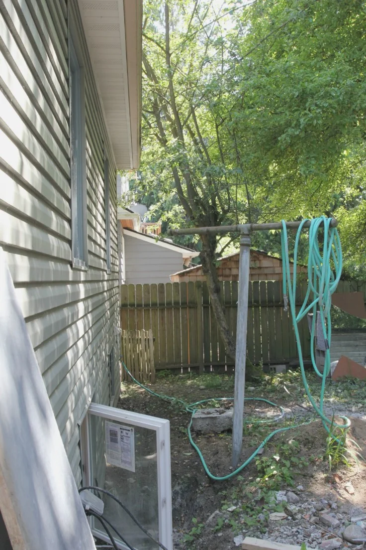 Backyard Horrors and Optimistic Plans