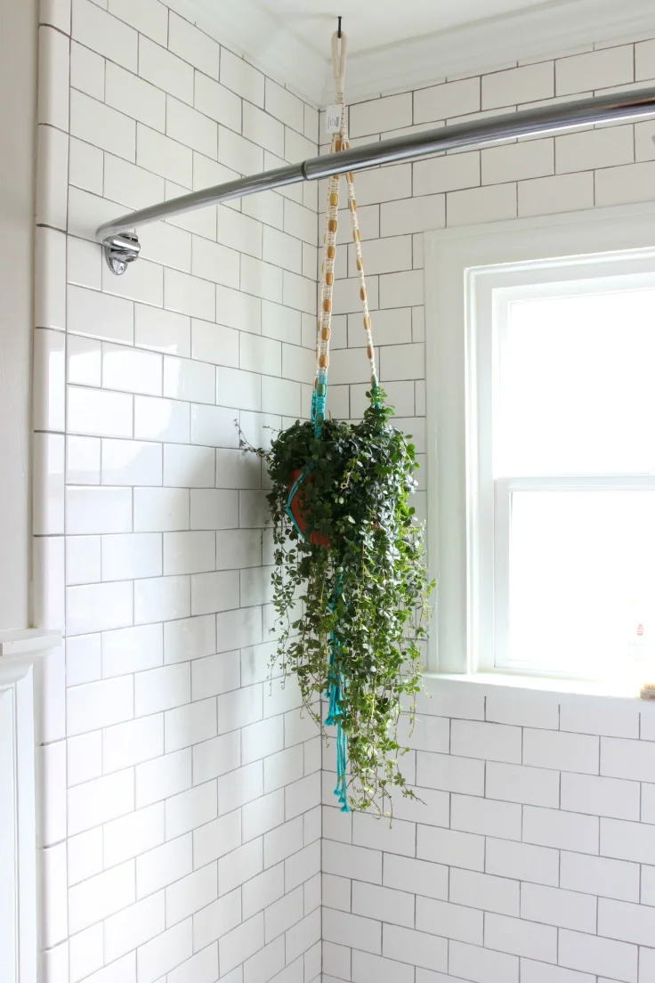 Bathroom Updates: Plants, Pictures, and Potty Training
