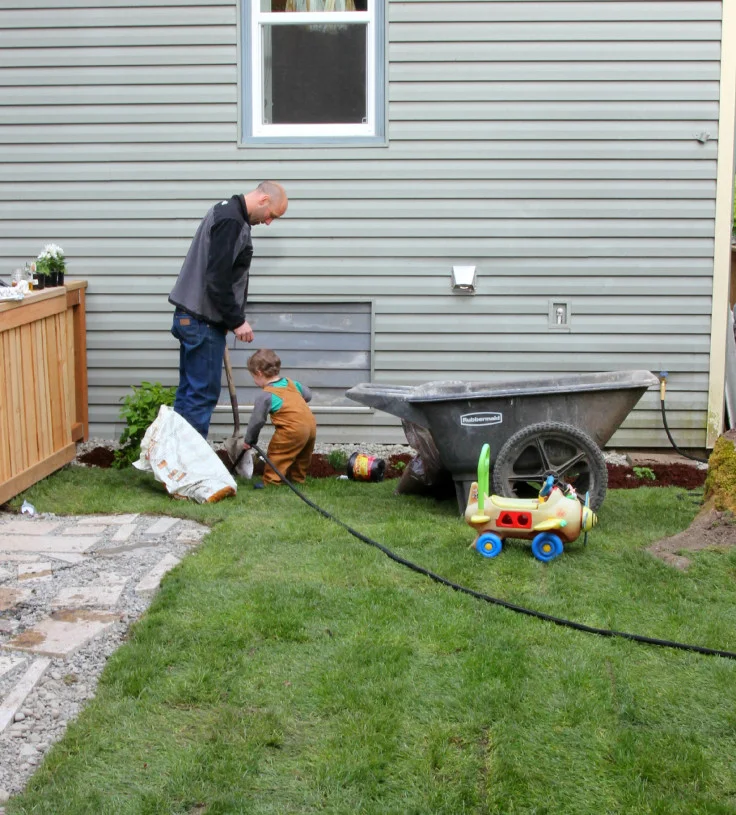 Backyard Before and After