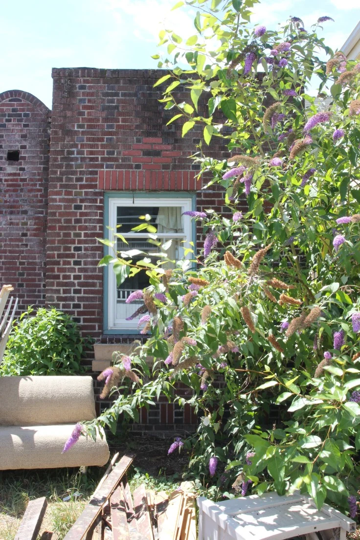 Dexter Backyard: the Finished Patio Door