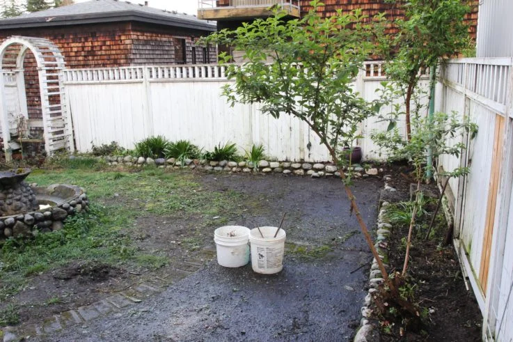 Dexter Backyard: the Beginning