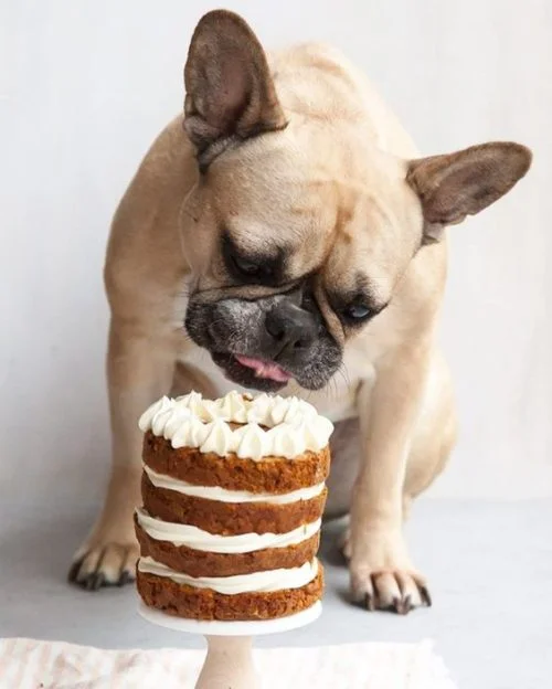 Happy Friday + Links 2.10.17