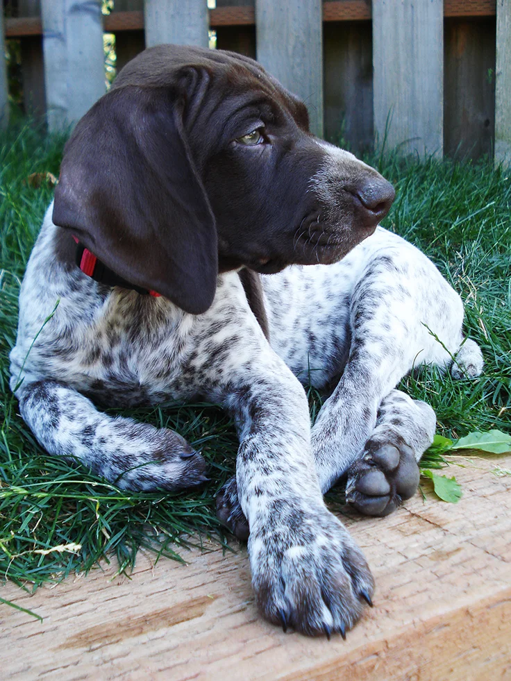 Happy Friday + Links 7/7/17