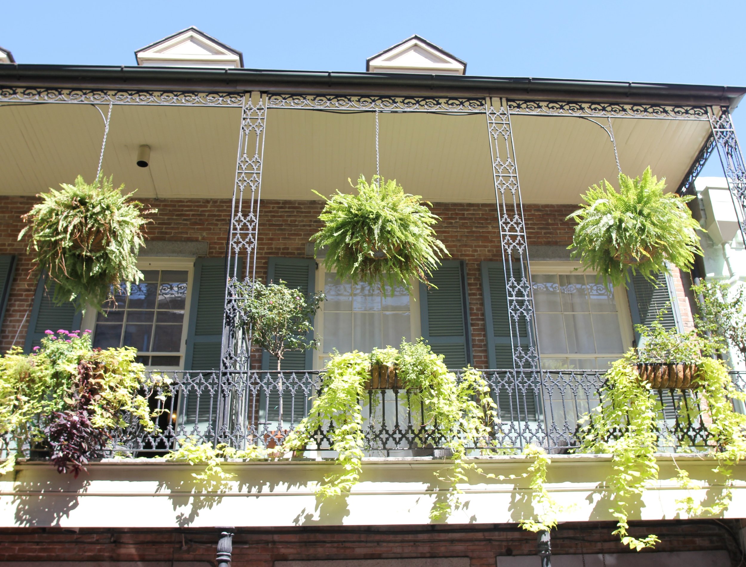 The-Grit-and-Polish-New-Orleans-French-Quarter.jpg