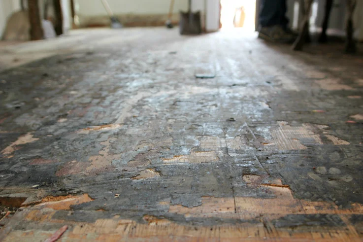 The Grit and Polish - Kitchen Demo Floors