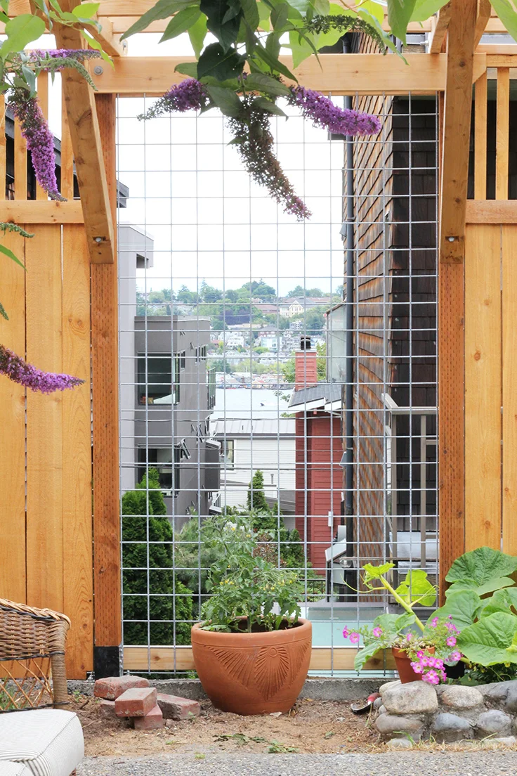 The Grit and Polish - Dexter Backyard View