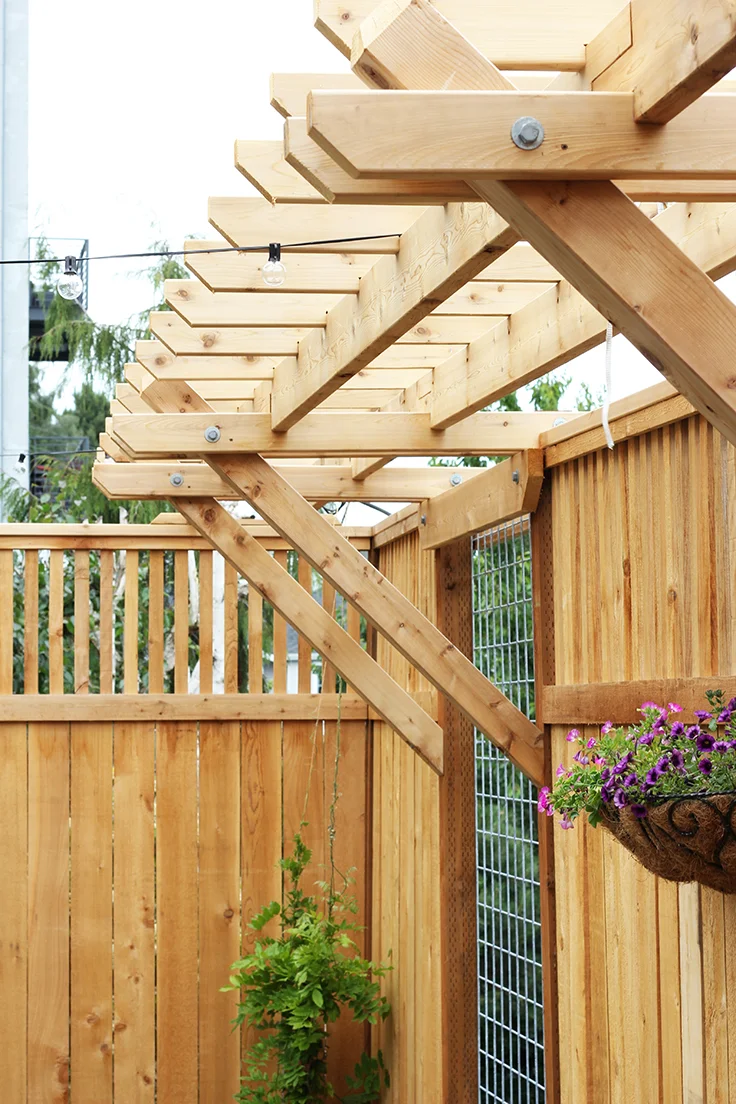 The Grit and Polish - Dexter Backyard fence
