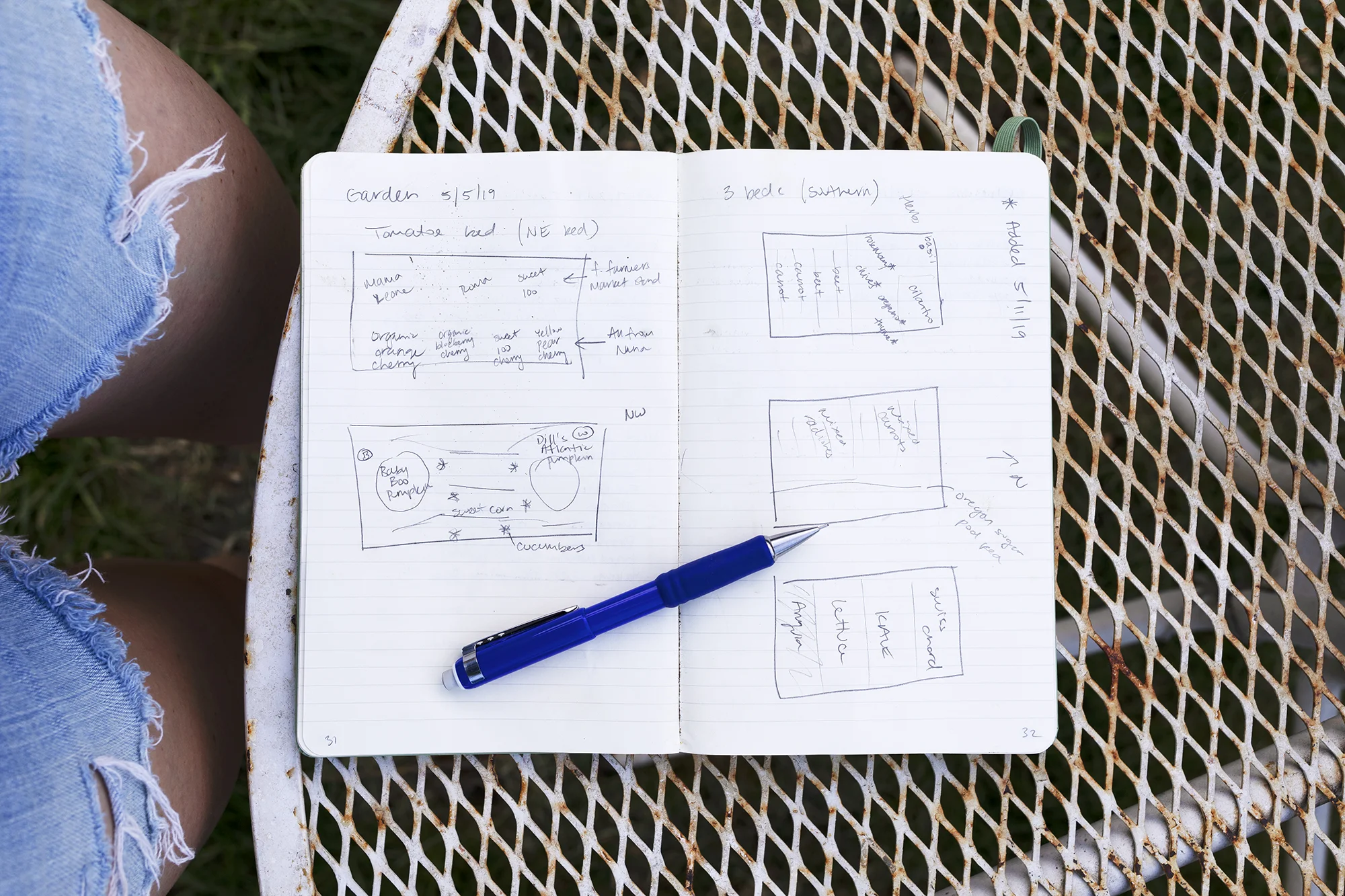 The Grit and Polish - Farmhouse Garden Plan in Bullet Journal.jpg