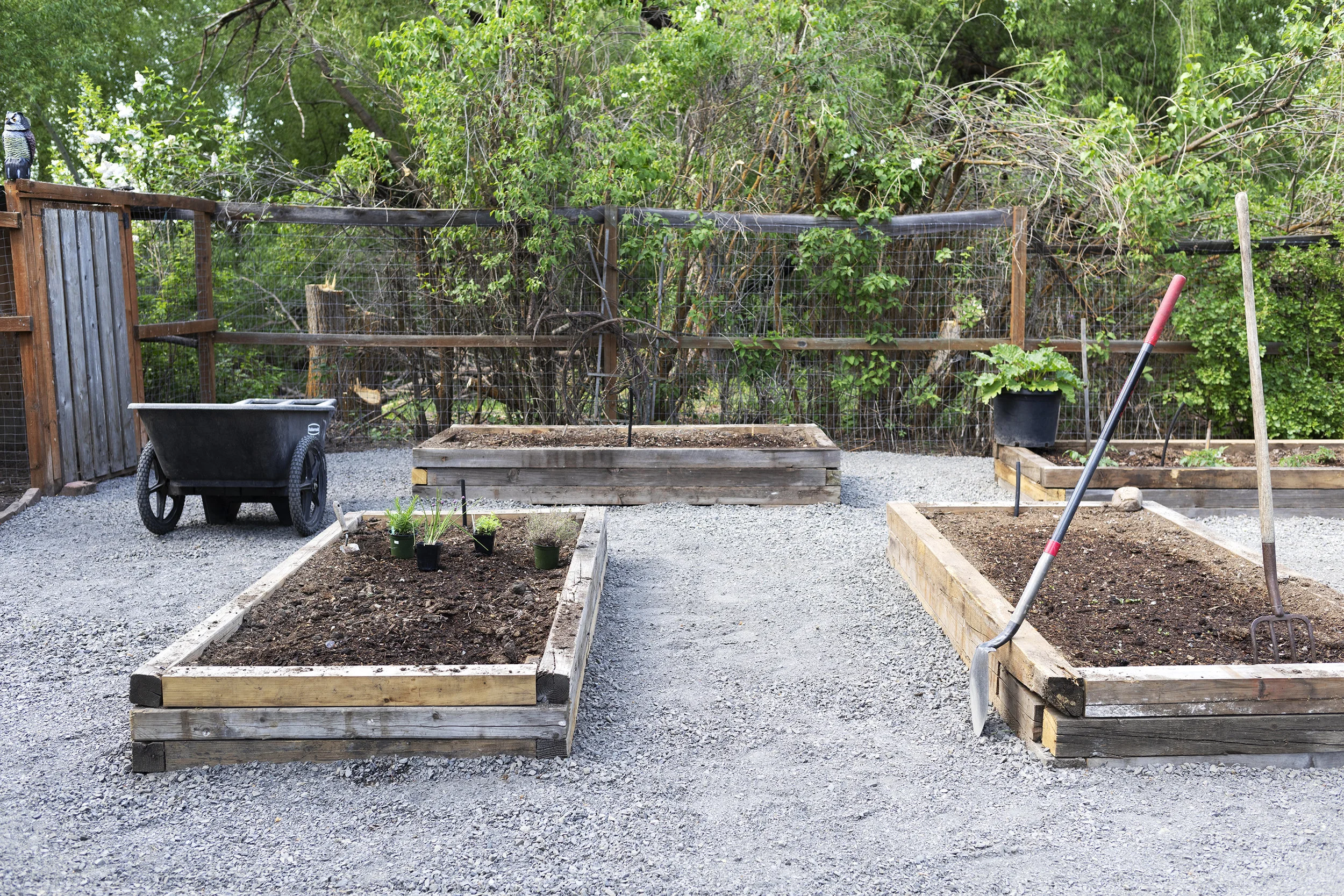 The Grit and Polish - Farmhouse Garden in progress 2.jpg