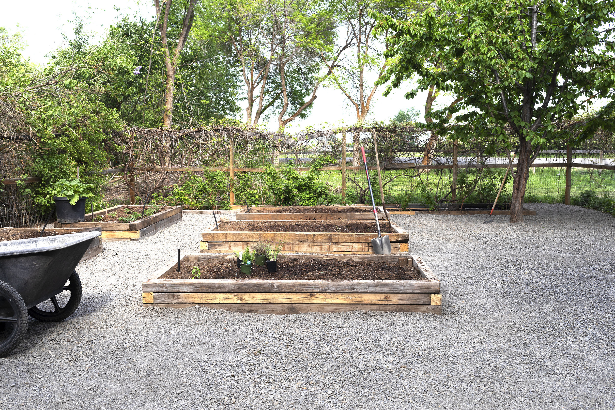 Building Garden Fence Boxes - Grit