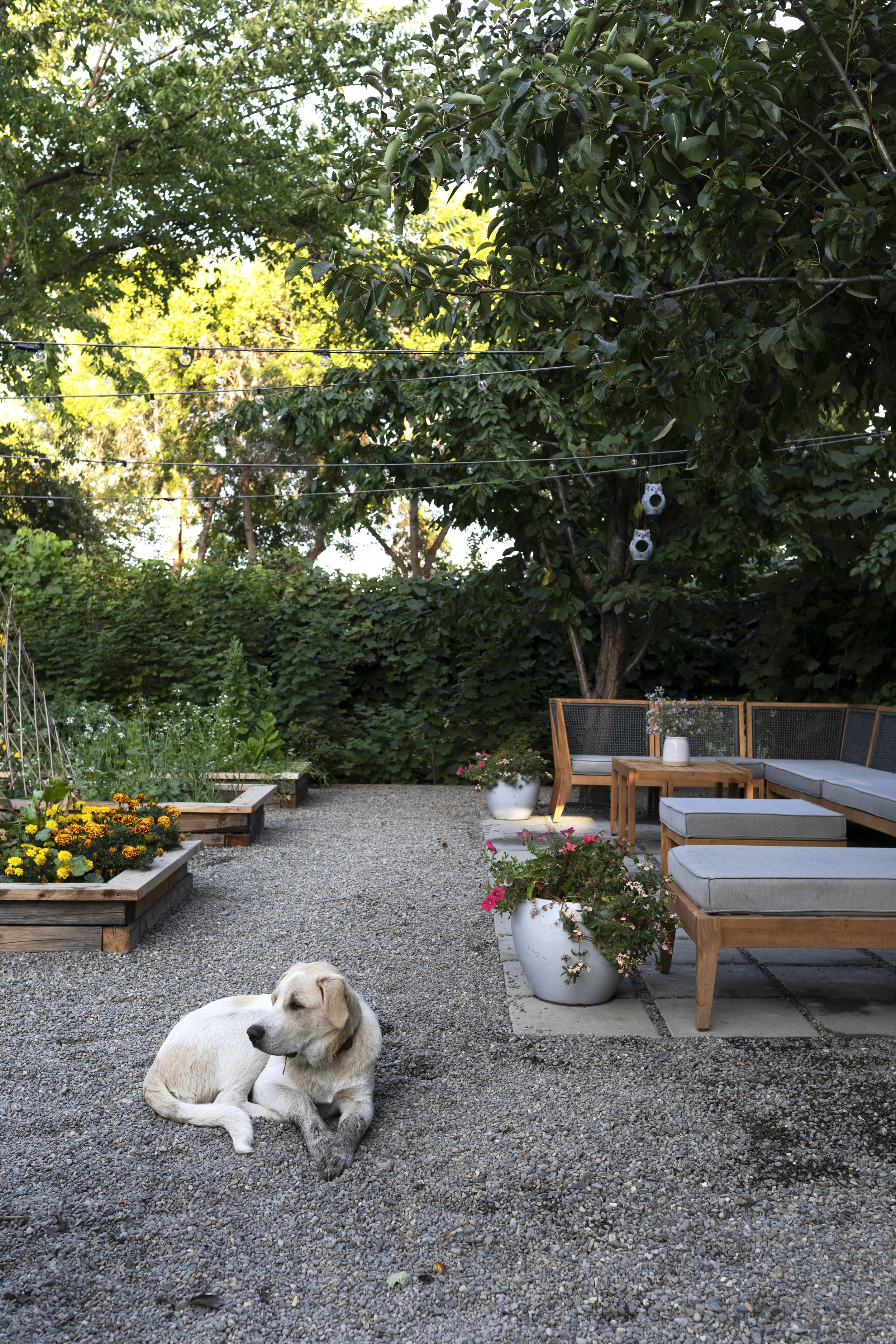 The Grit and Polish - Farmhouse Garden Gibbs.jpg