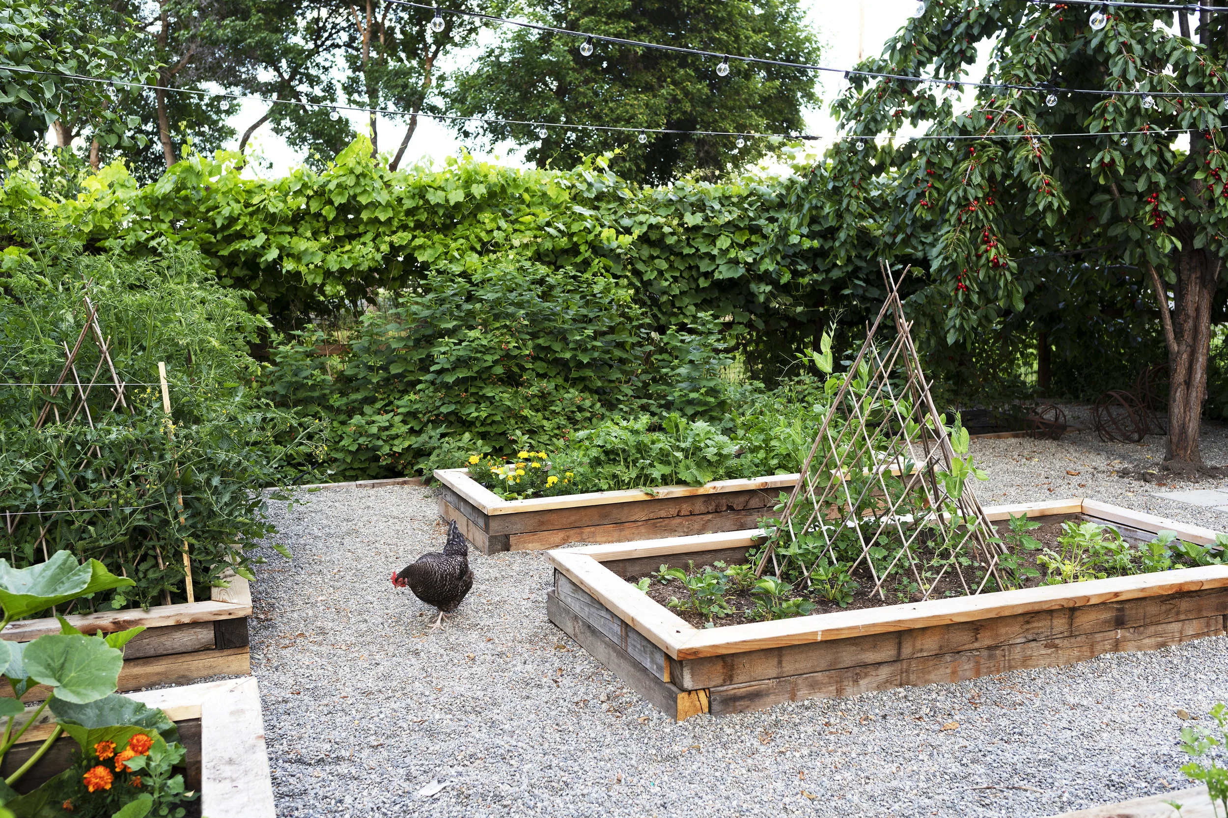 The Grit and Polish - Farmhouse Garden Chicken.jpg