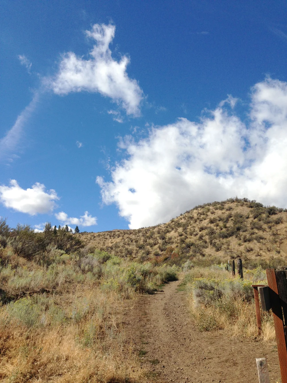 The Path Less Traveled: Lessons from our Quest for Financial ...
