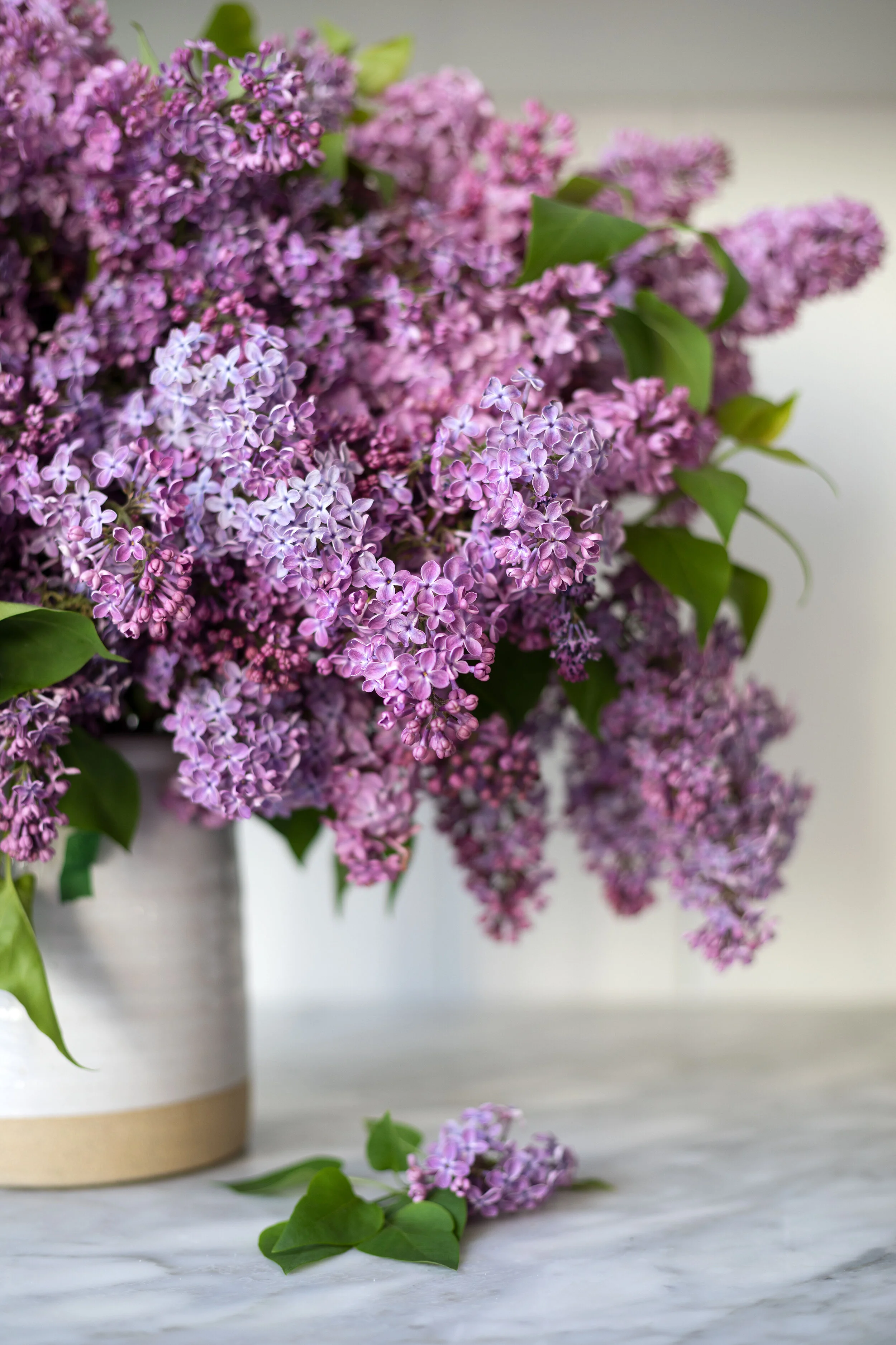 How to Arrange an Overflowing Bouquet of Lilacs & Keep Them From